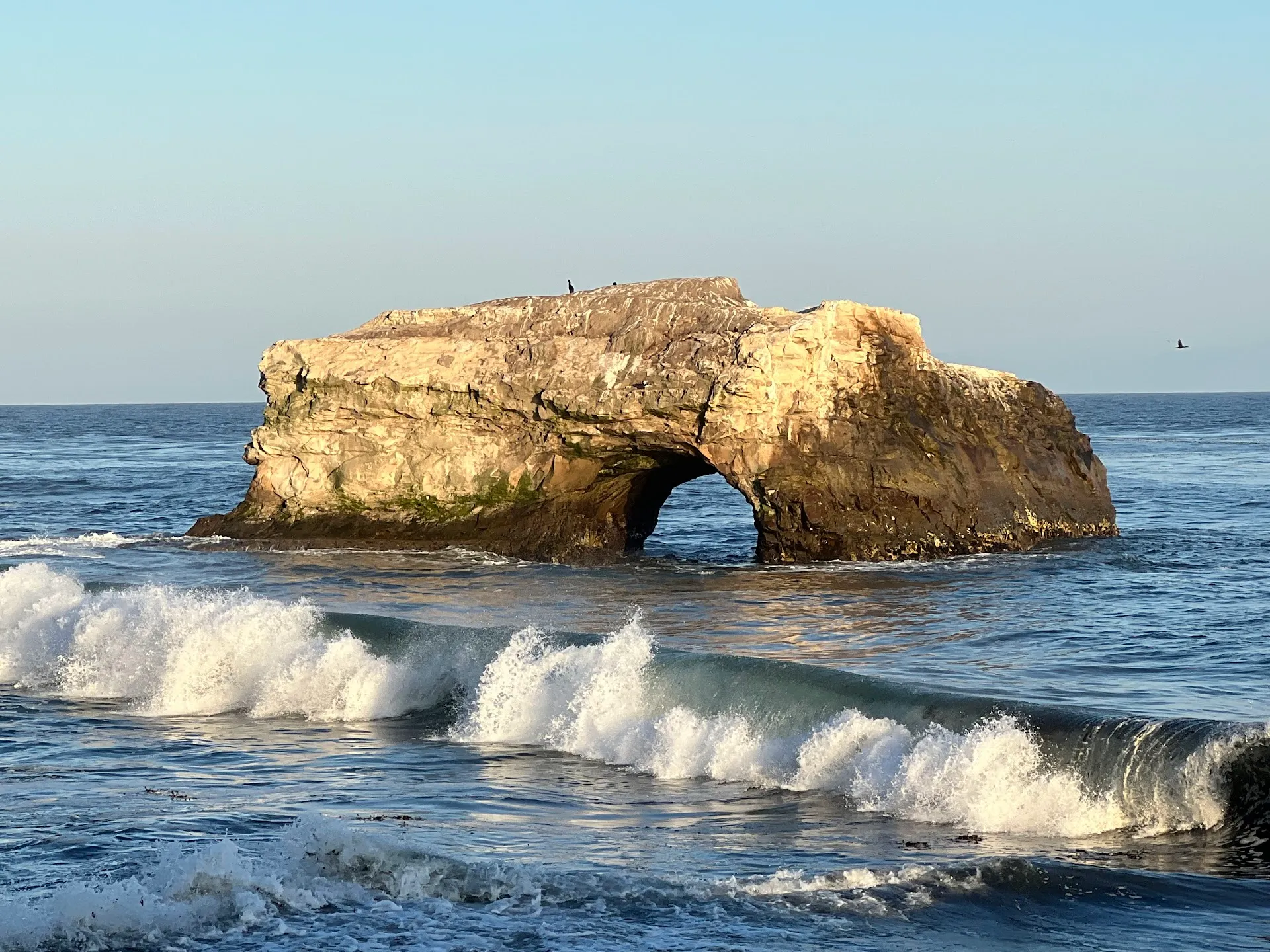 Natural Bridges State Beach