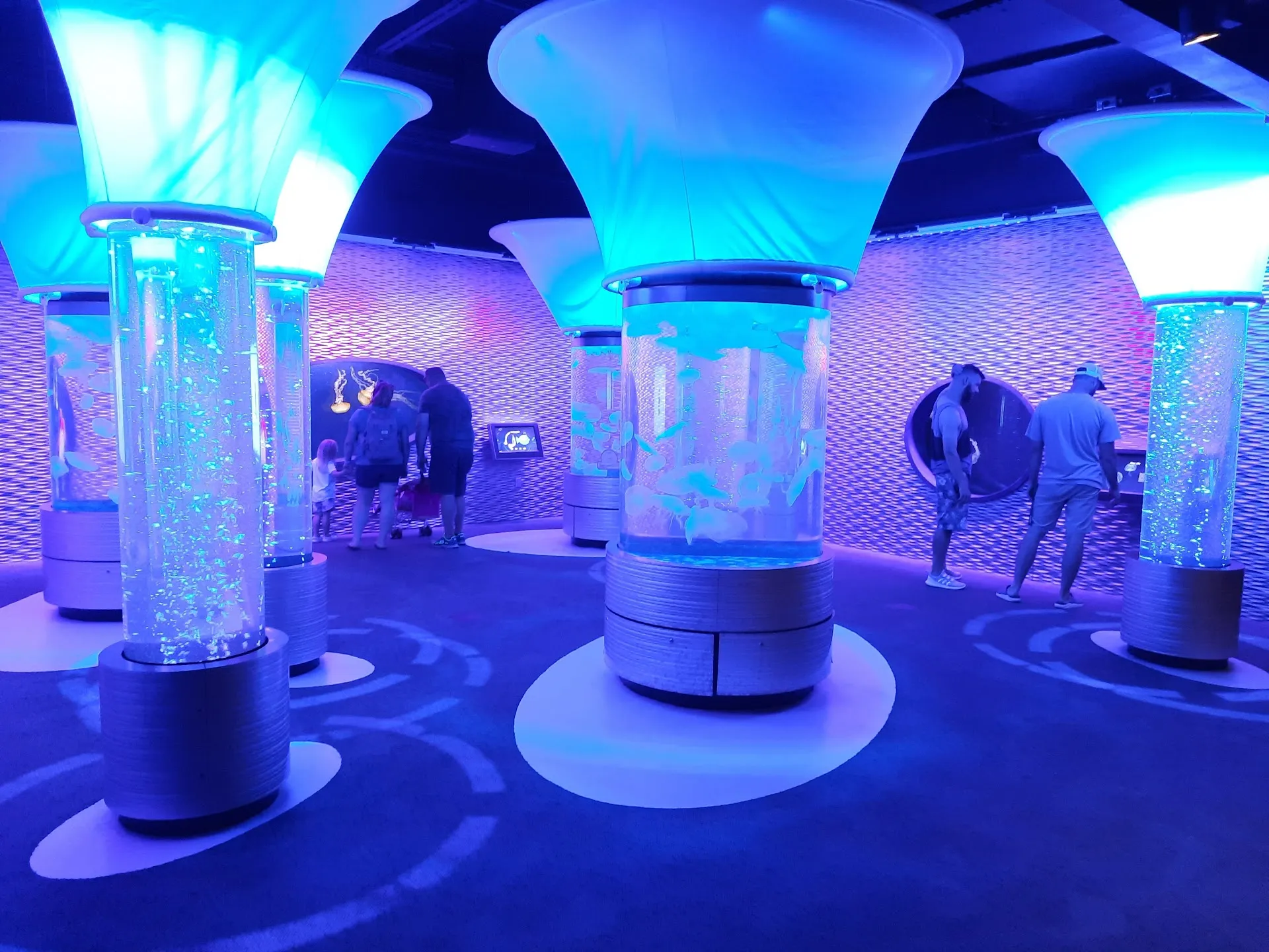 North Carolina Aquarium on Roanoke Island