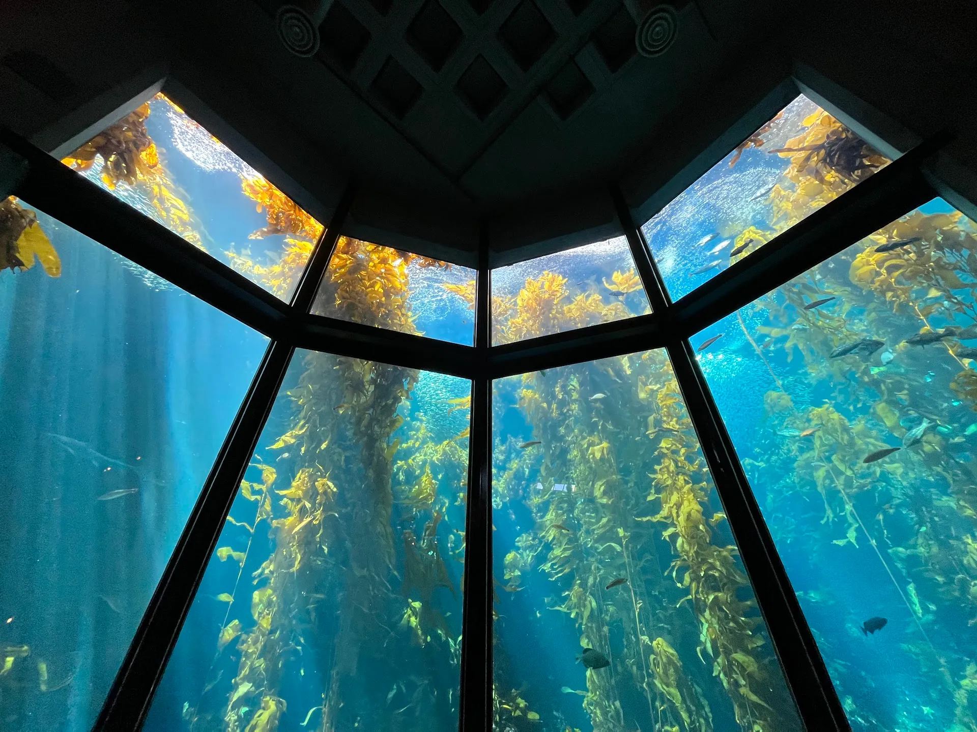 Monterey Bay Aquarium