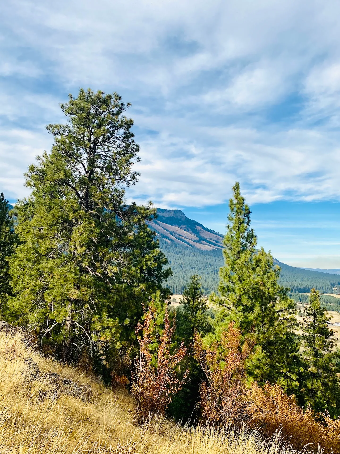 Mount Emily Recreation Area