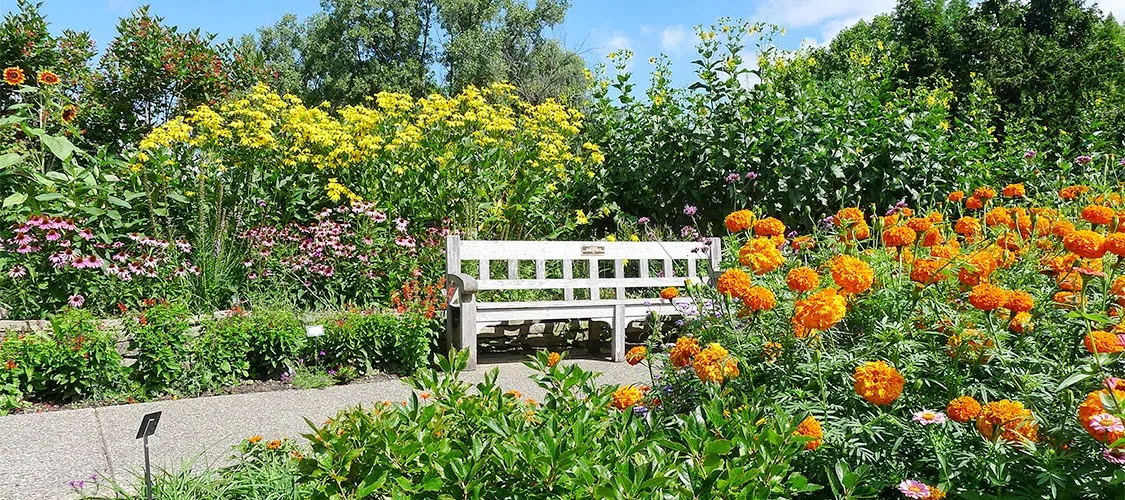 Matthaei Botanical Gardens