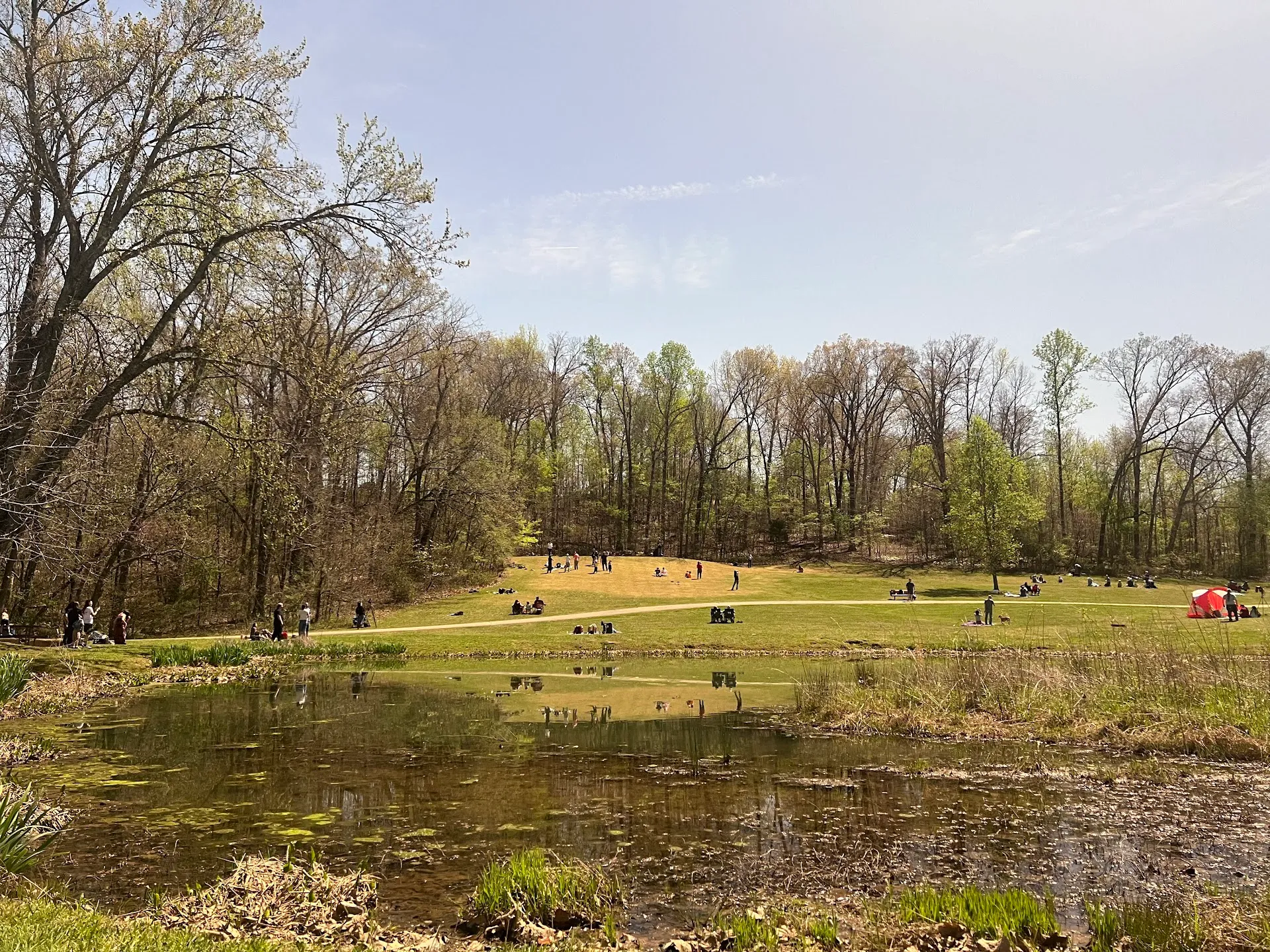 McLane Park