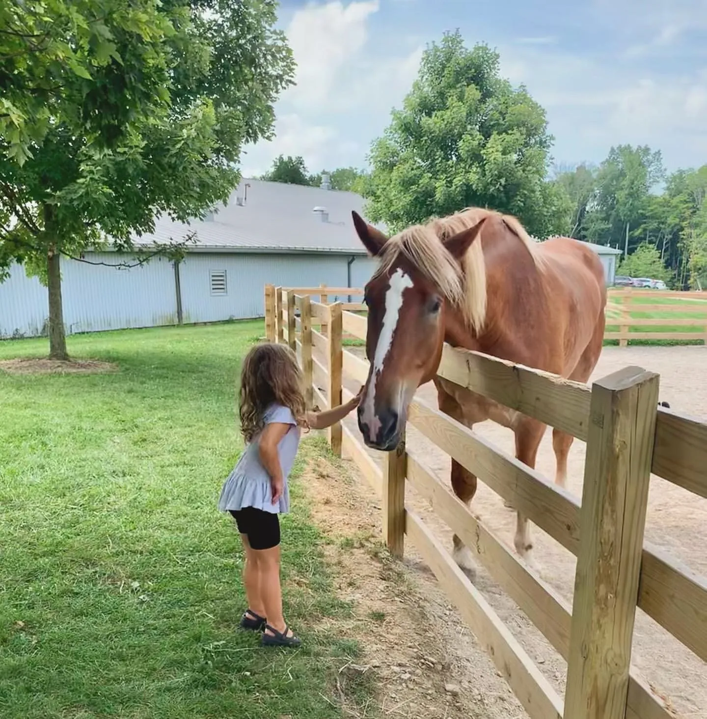 Lake Metroparks Farmpark