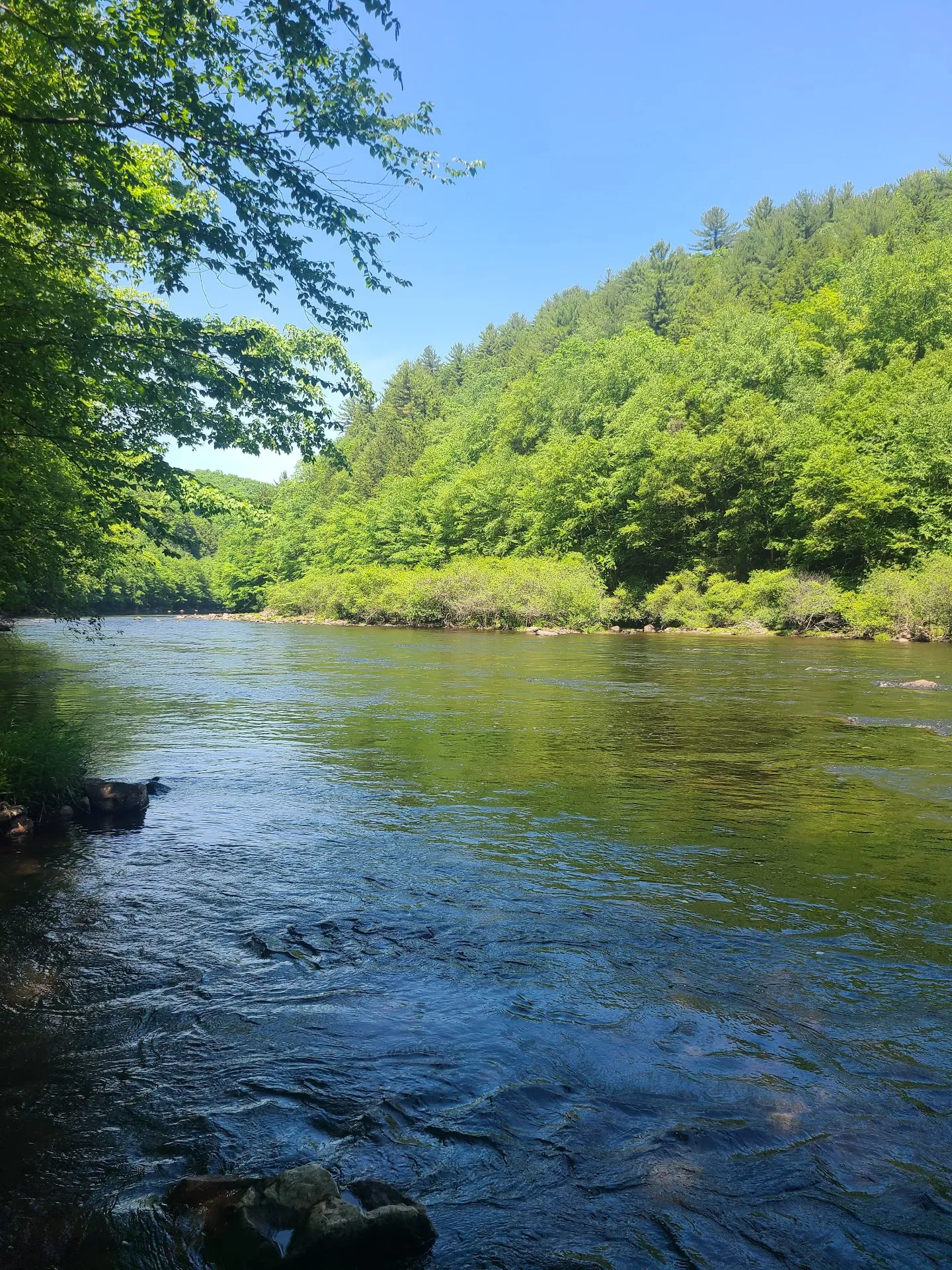 Lehigh Gorge State Park
