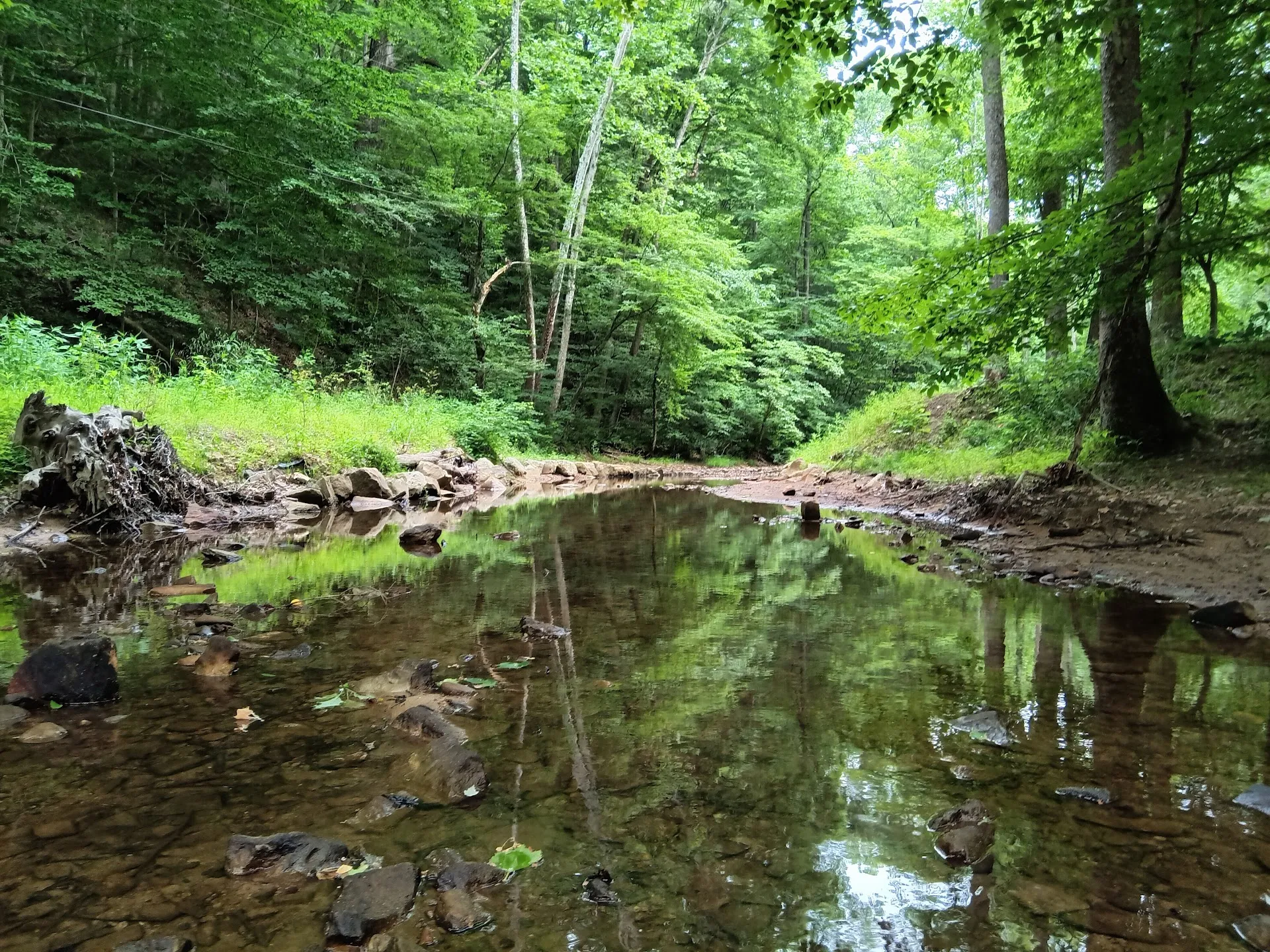 Kanawha State Forest
