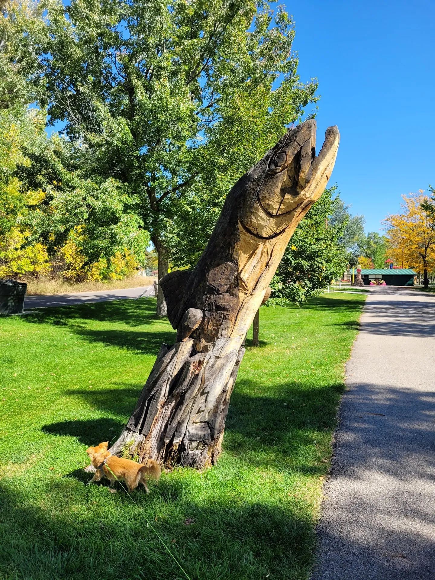 Kendrick Park