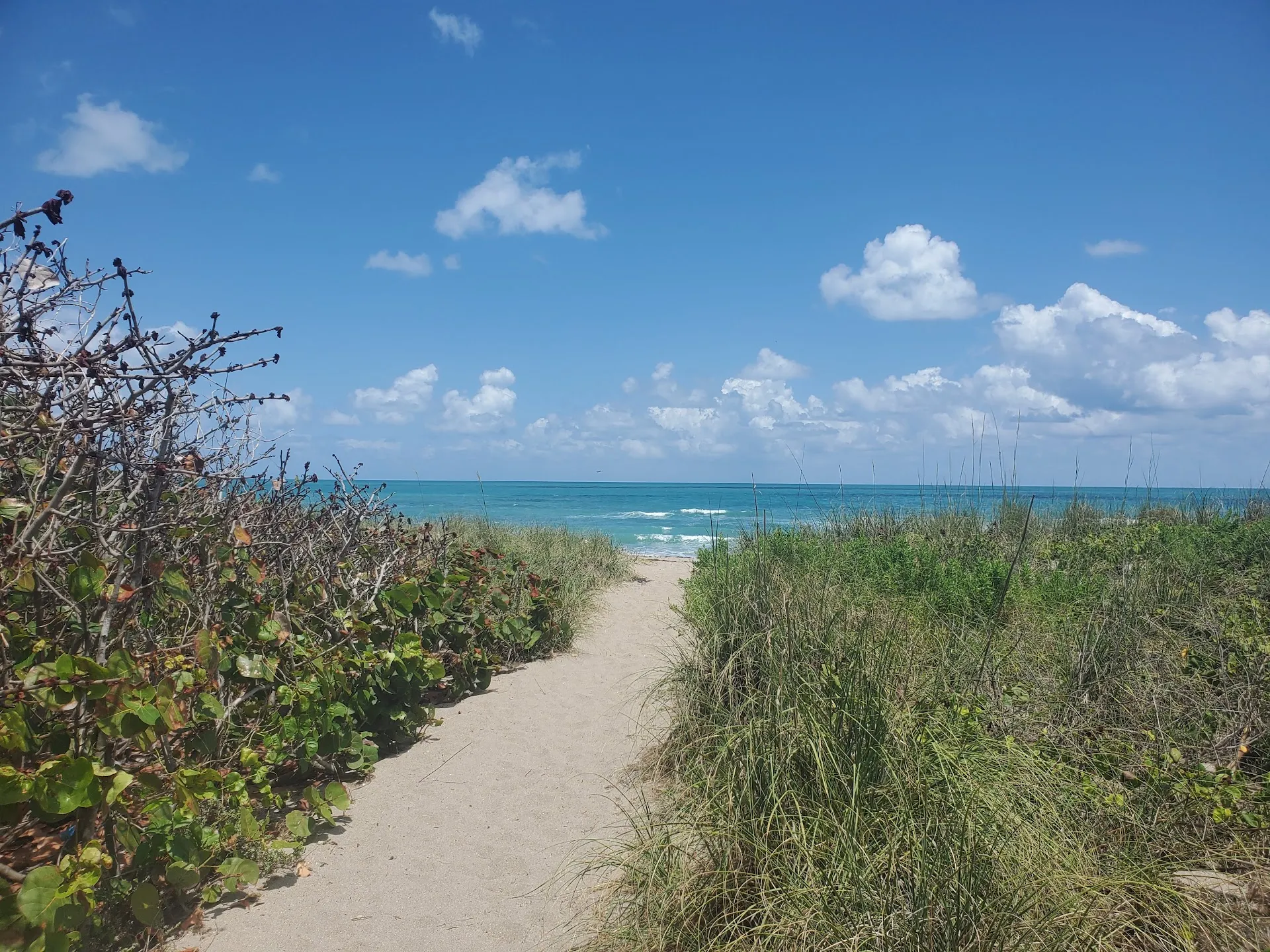 Jensen Beach Park