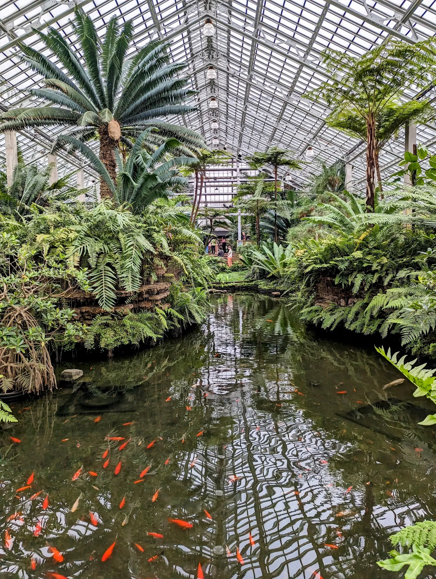 Garfield Park Conservatory