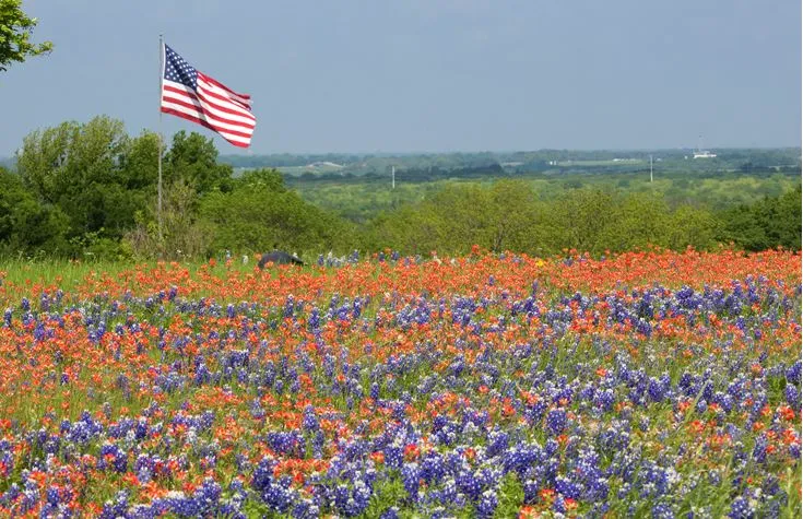 Ennis Bluebonnet Trails (an April driving route)