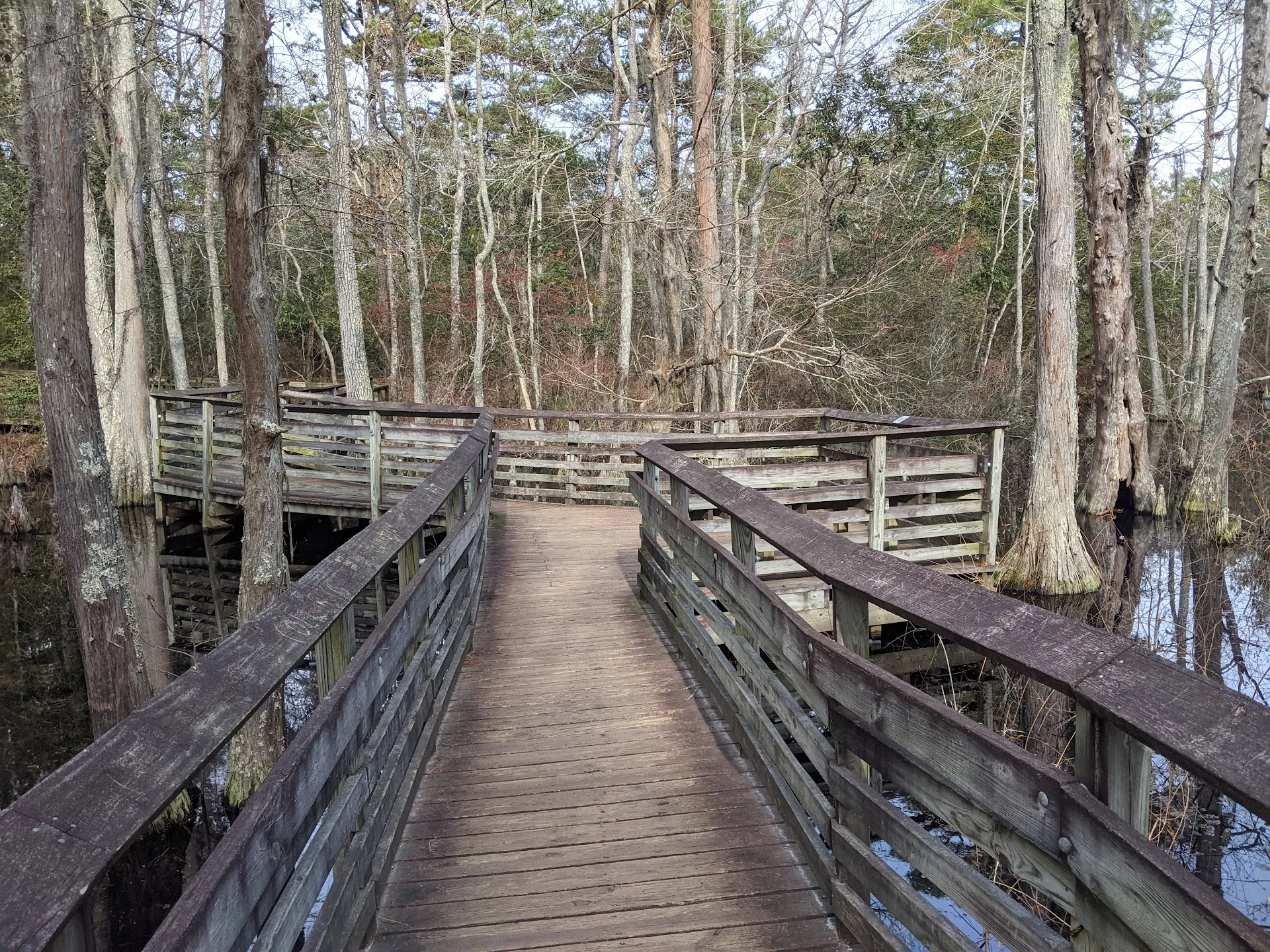 First Landing State Park