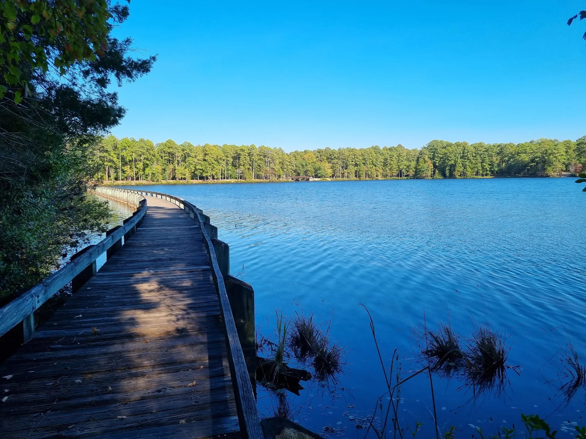 Cheraw State Park