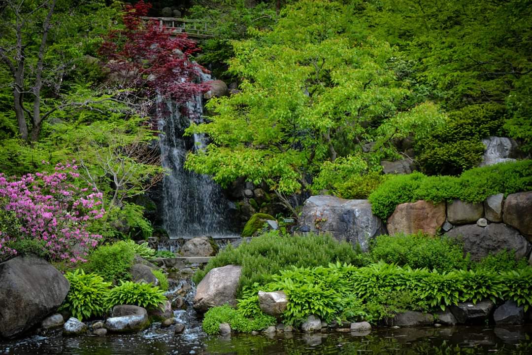 Anderson Japanese Gardens