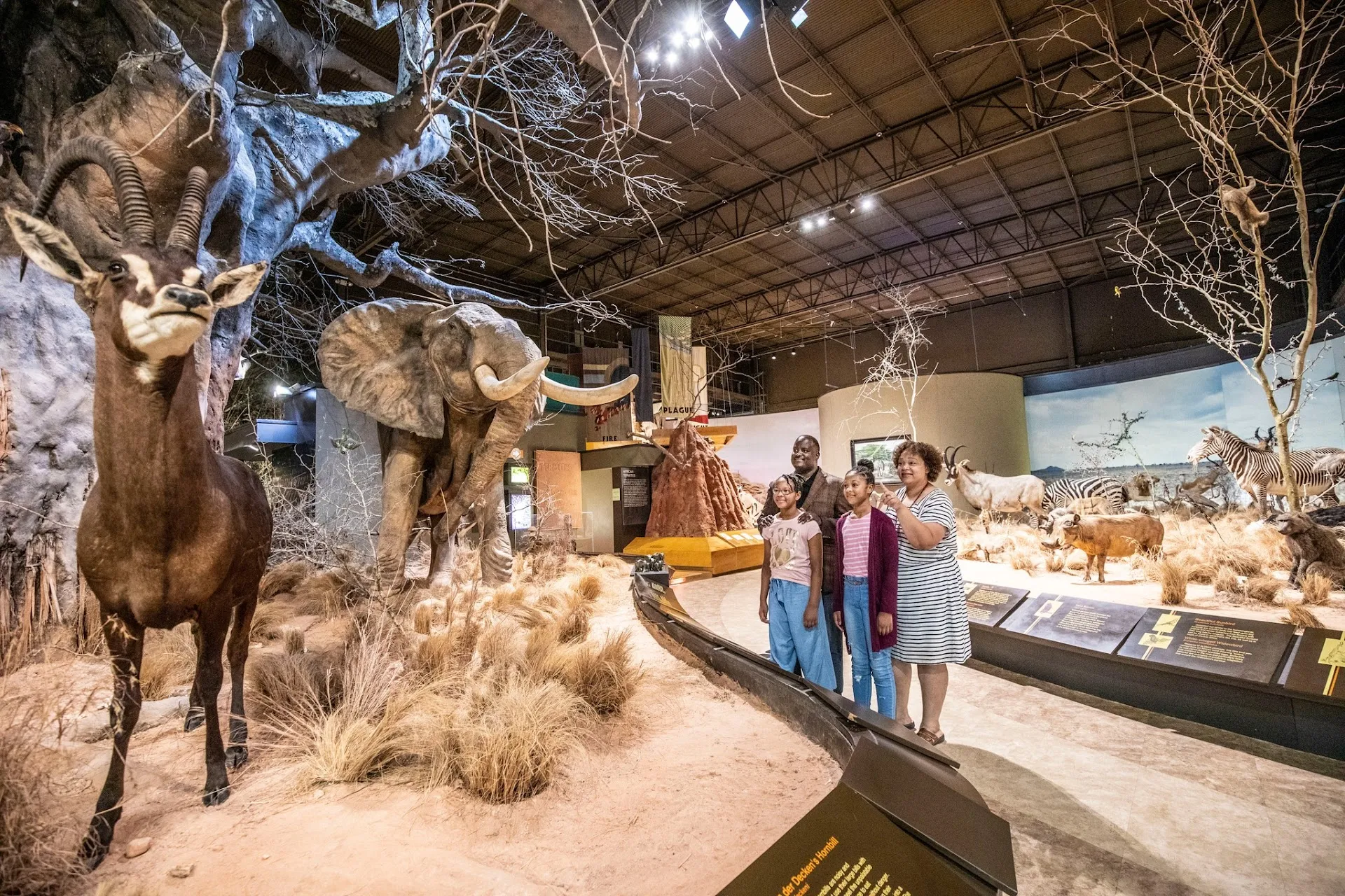 Anniston Museum of Natural History