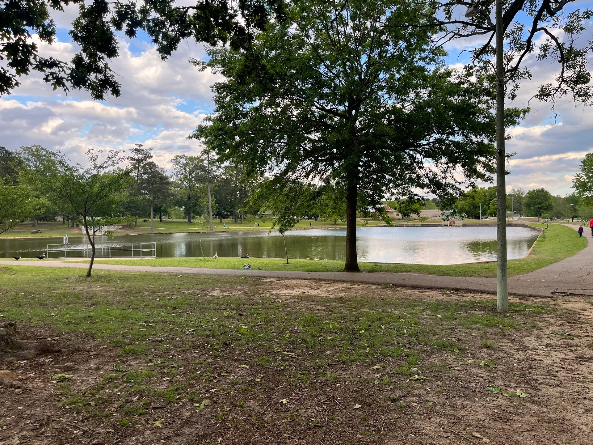 Ballard Park