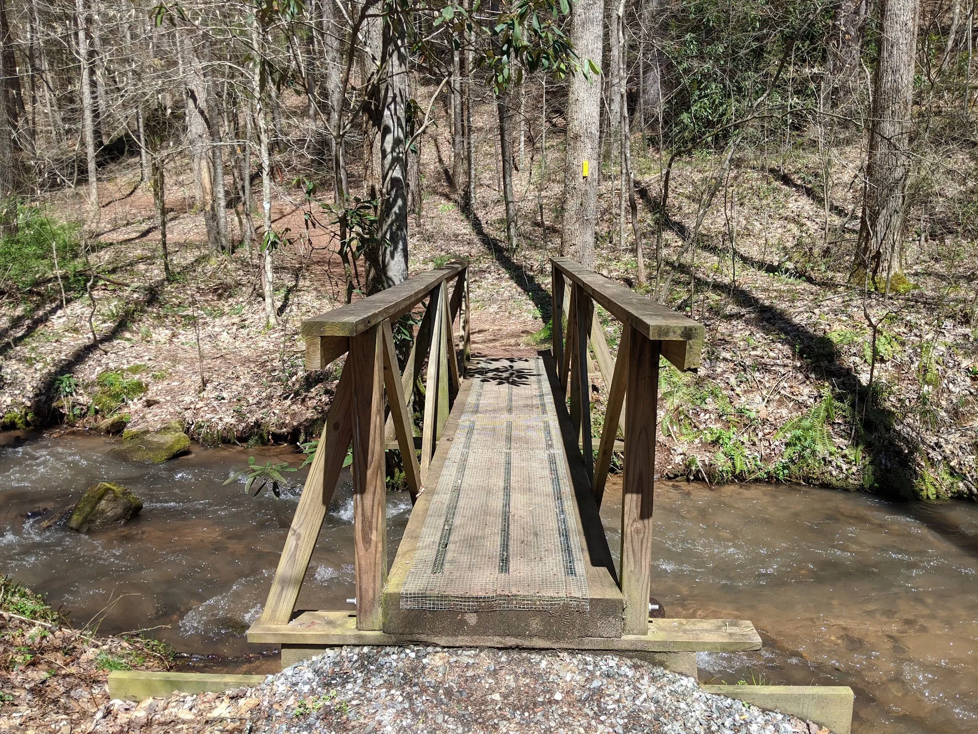 Bartram Trail: Wallace Branch to William's Pulpit