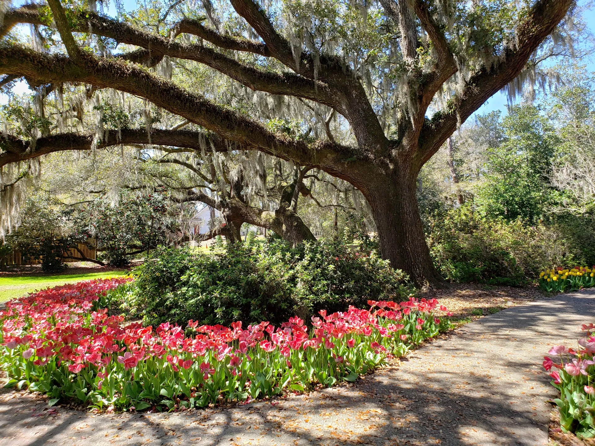 Airlie Gardens