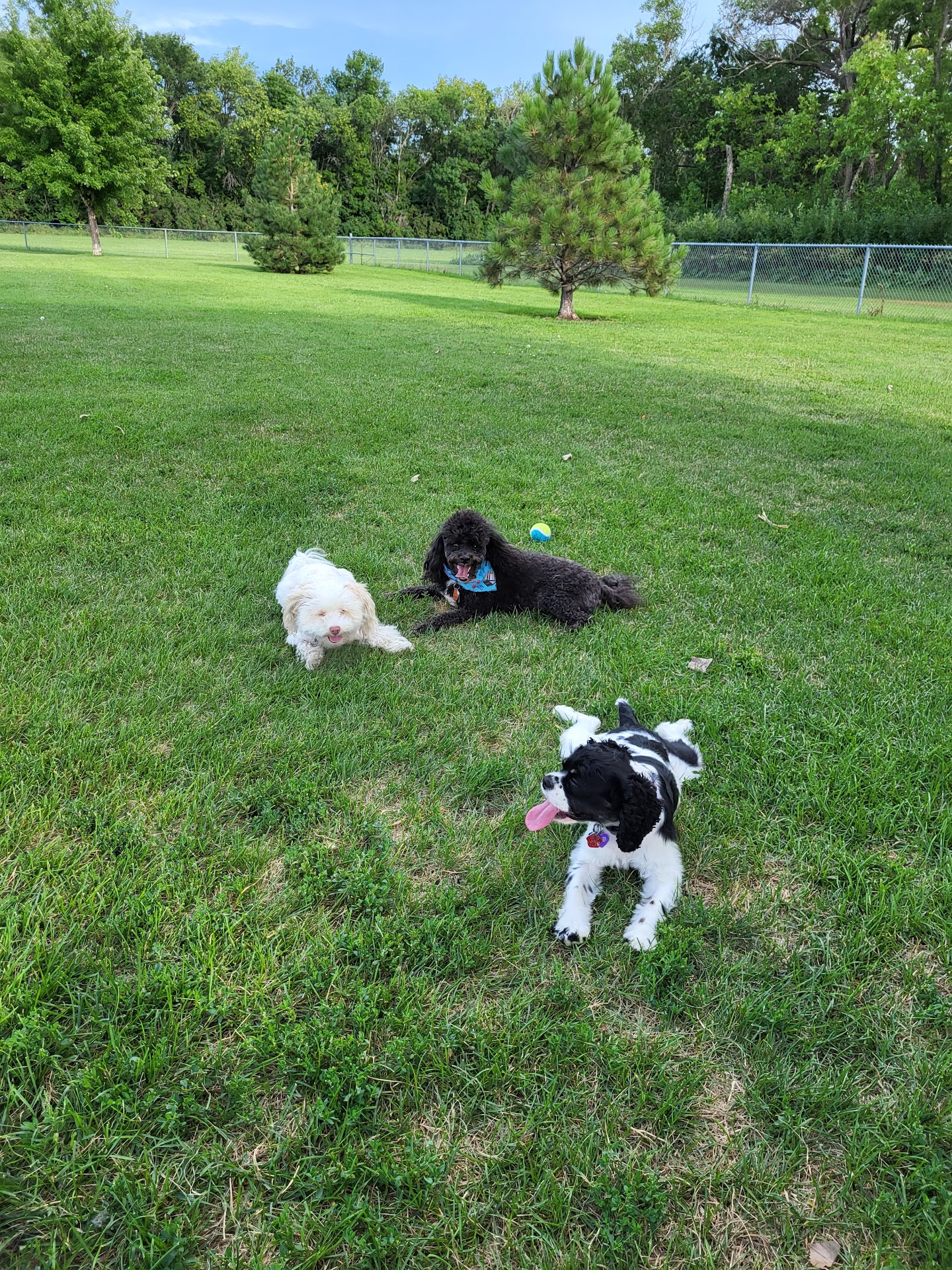 North Fargo Dog Park