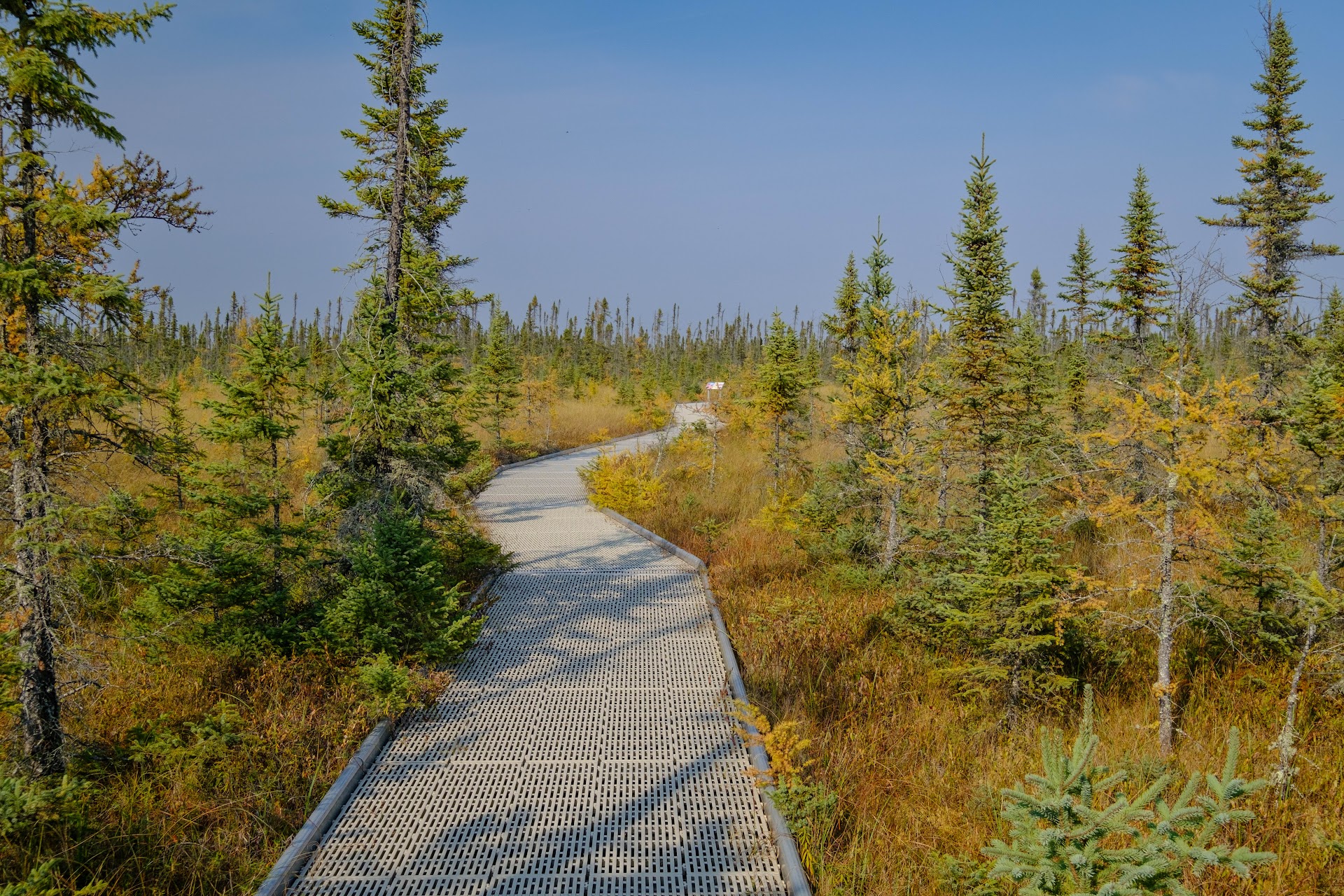 Big Bog State Recreation Area Boardwalk