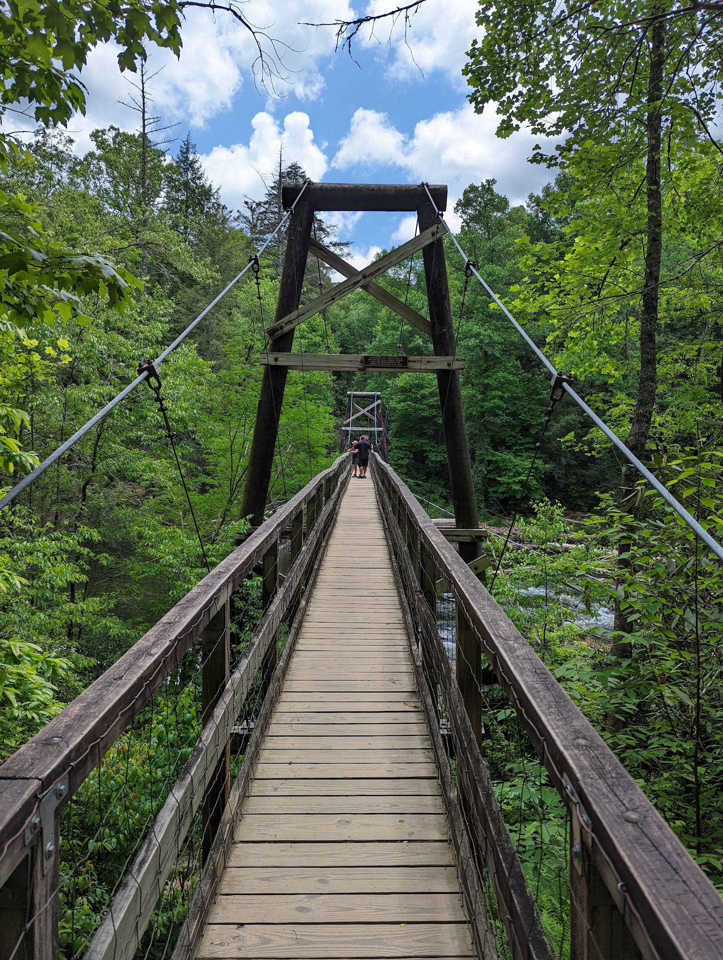 Swinging Bridge on the Toccoa River