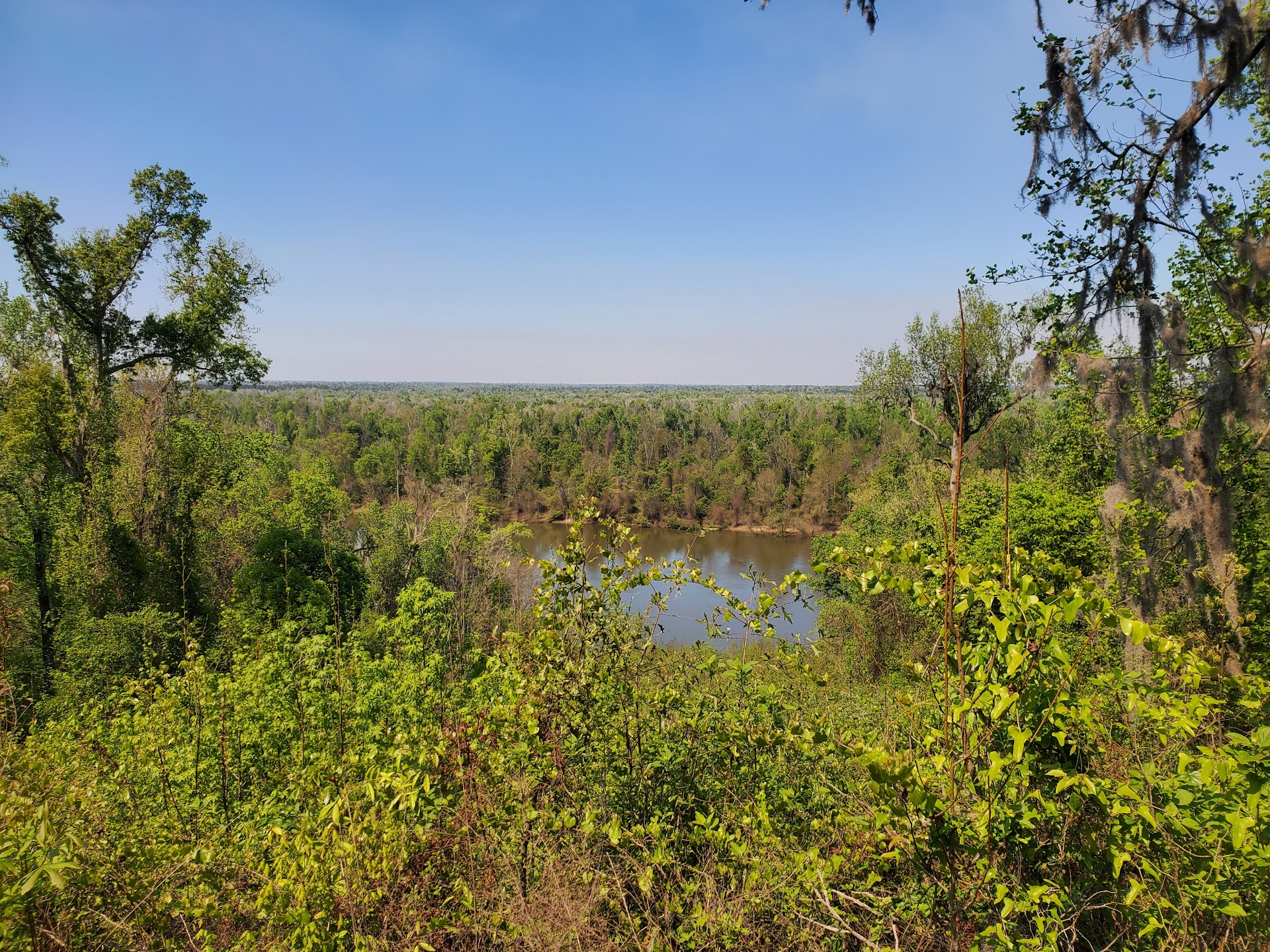 Torreya State Park