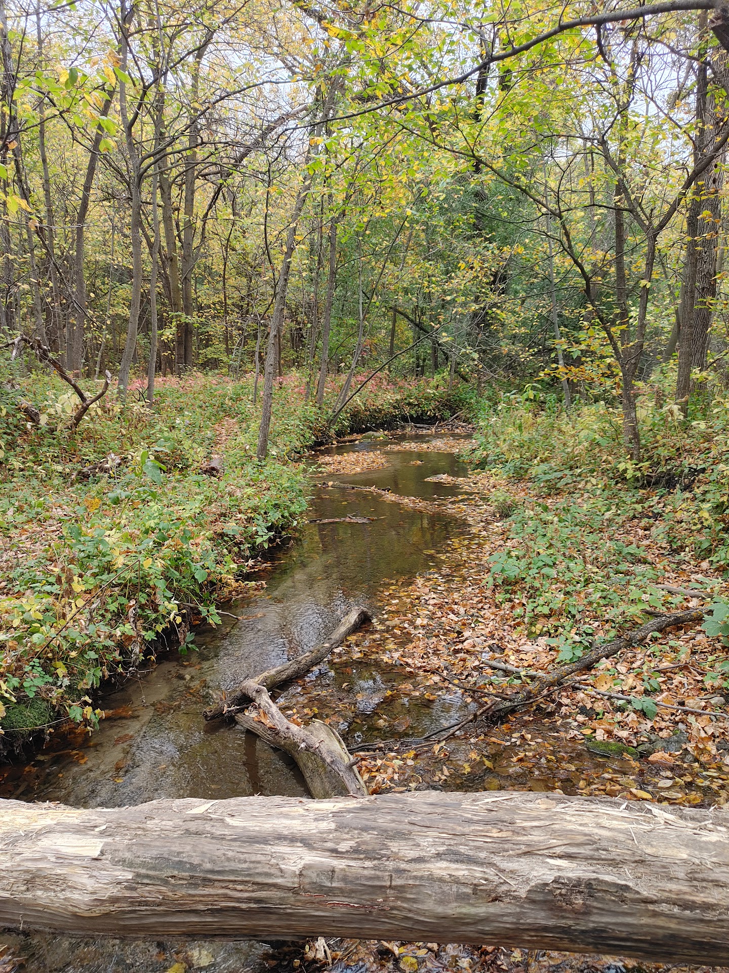 Sica Hollow State Park