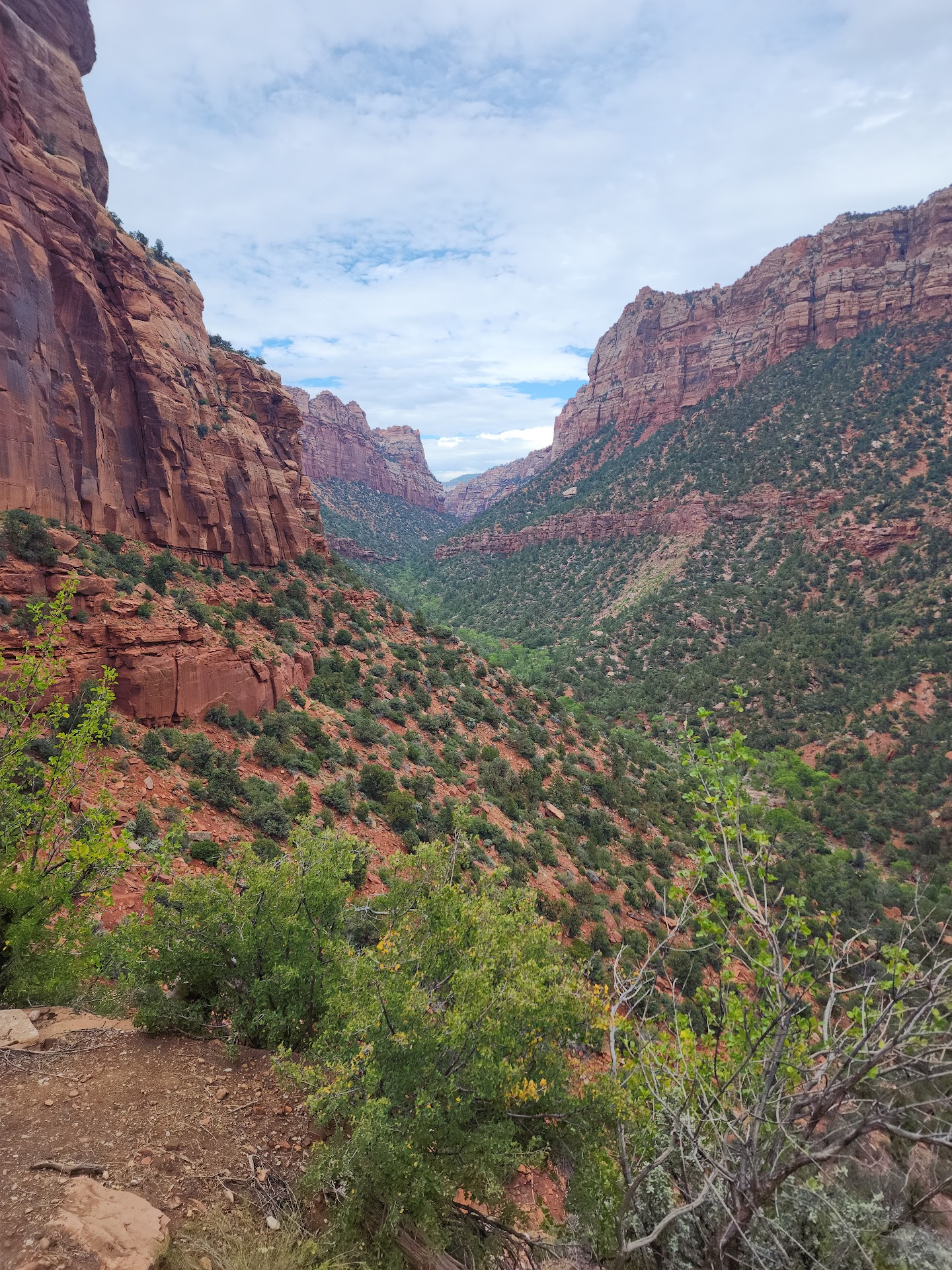 Left Fork Trailhead, Zion National Park, UT