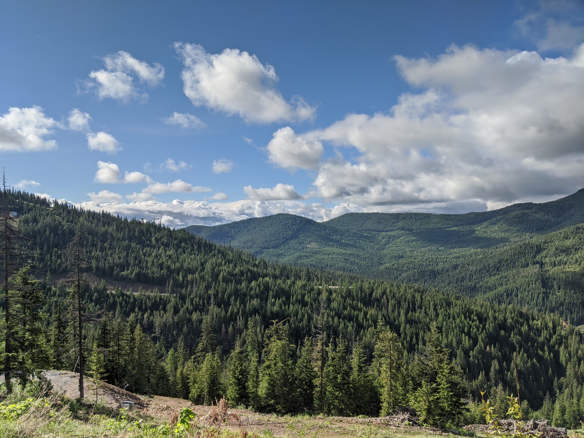 Colville National Forest