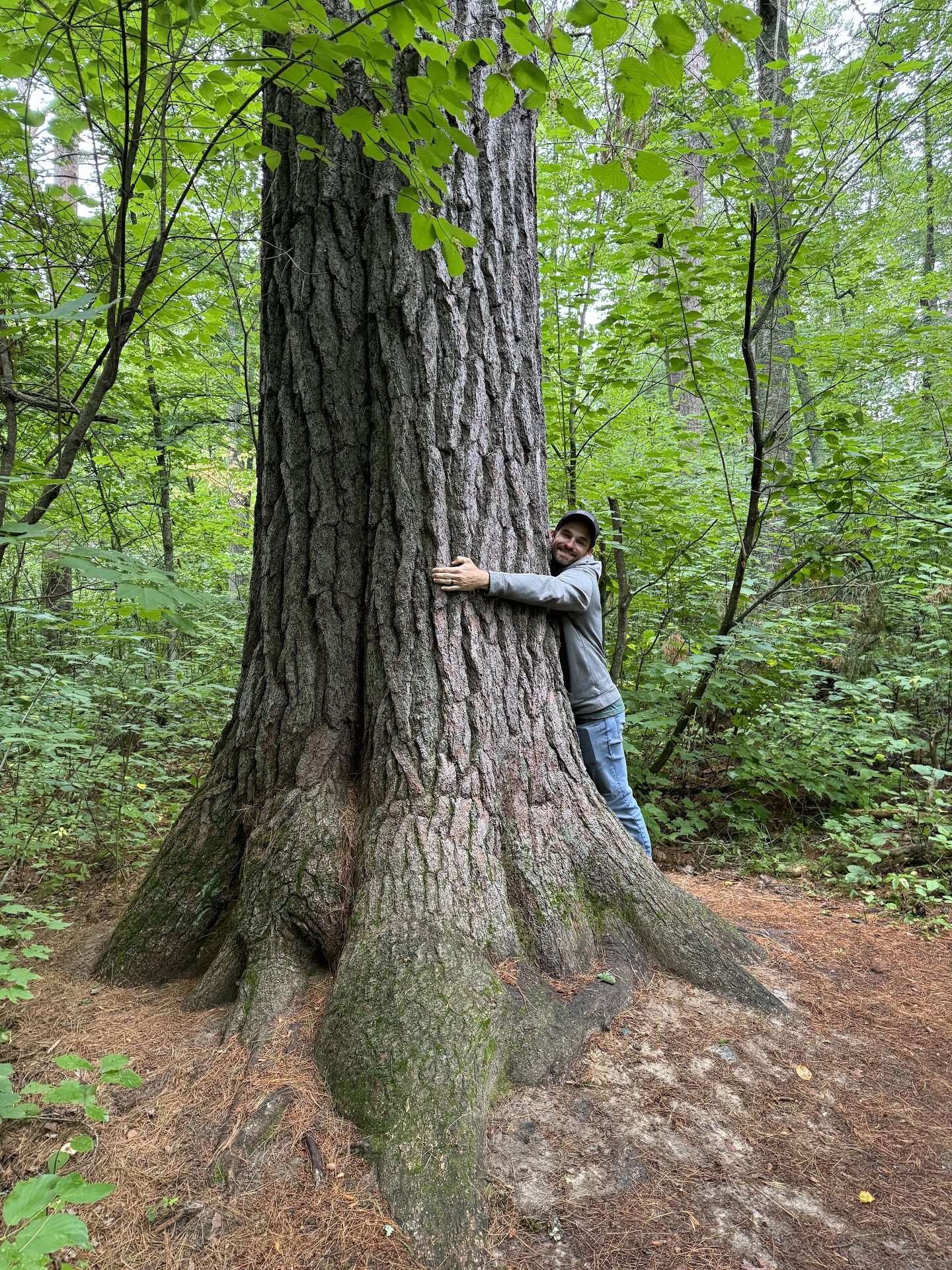 Lost 40 Scientific and Natural Area