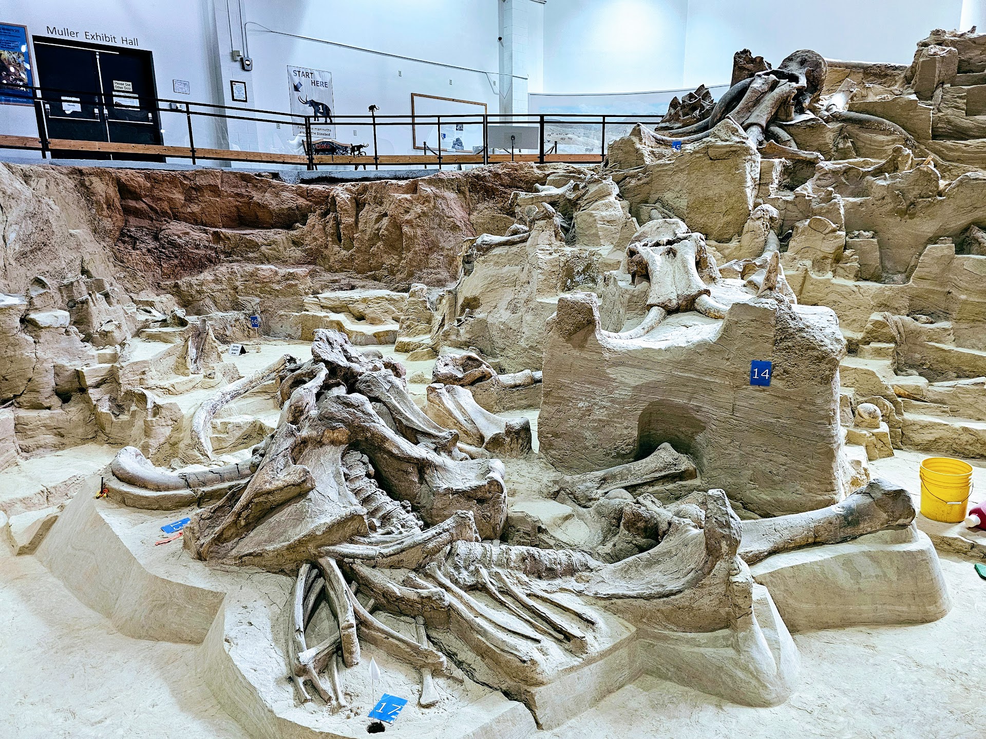The Mammoth Site