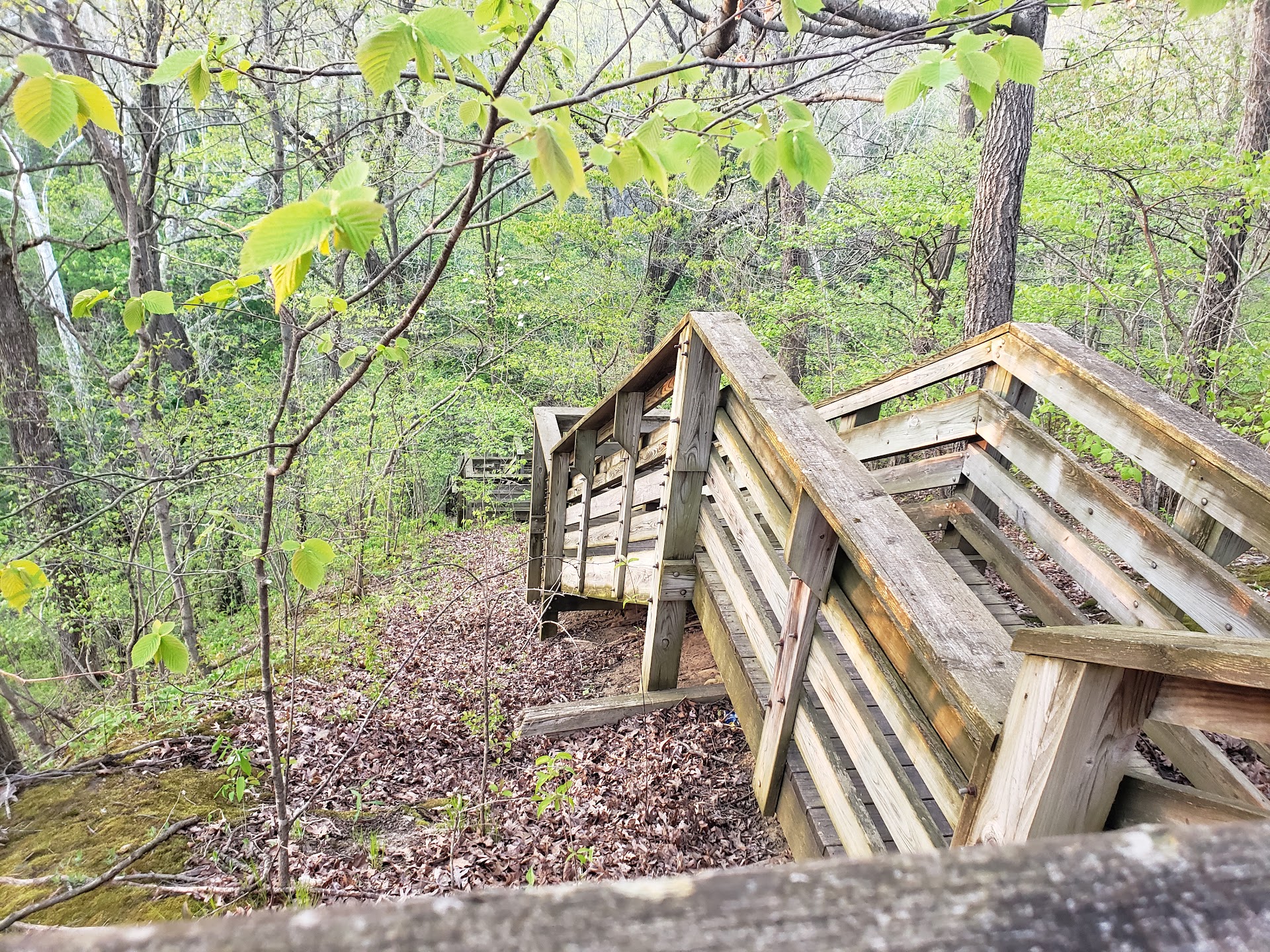 Fox Ridge State Park
