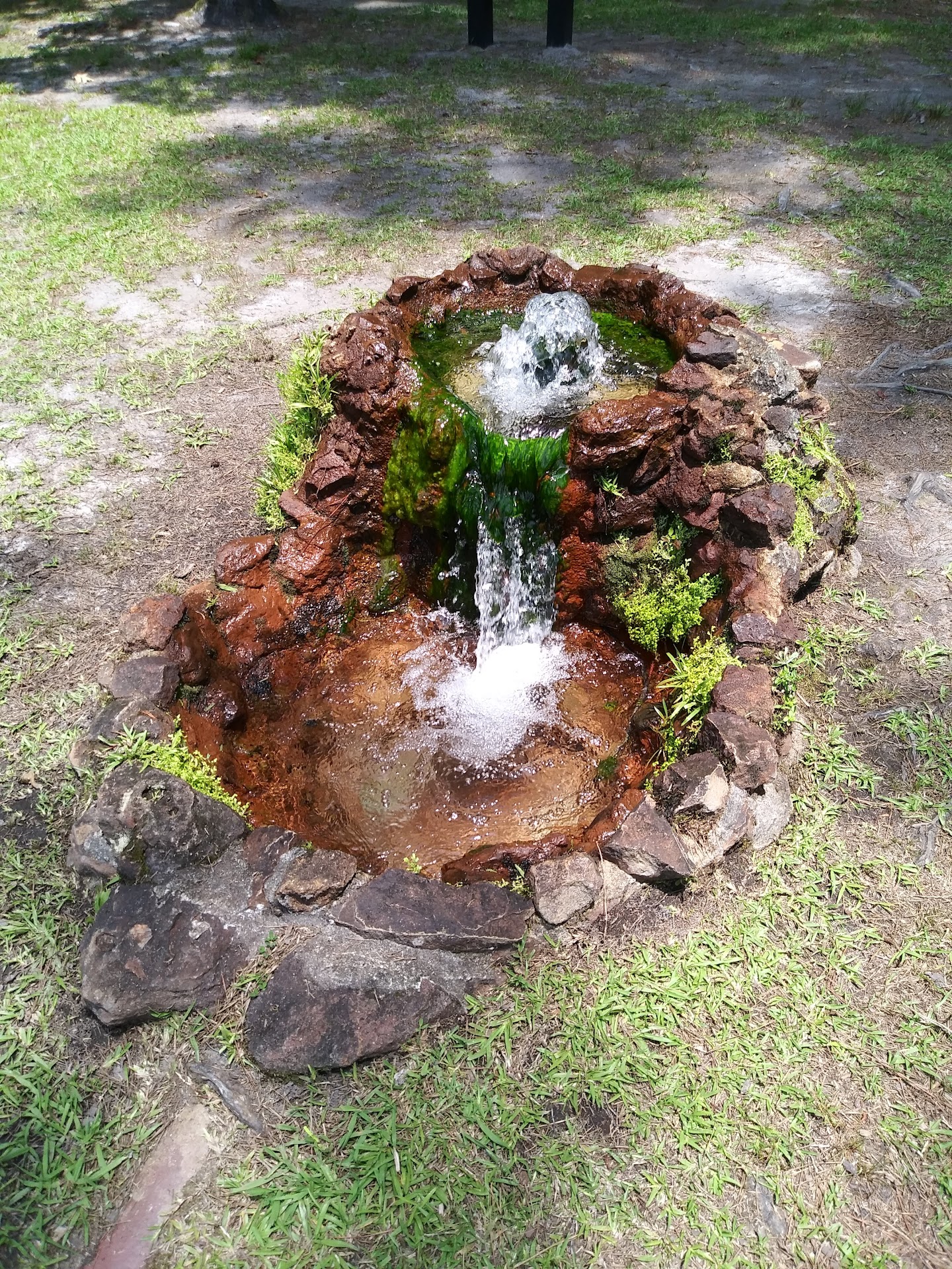 Lee State Park