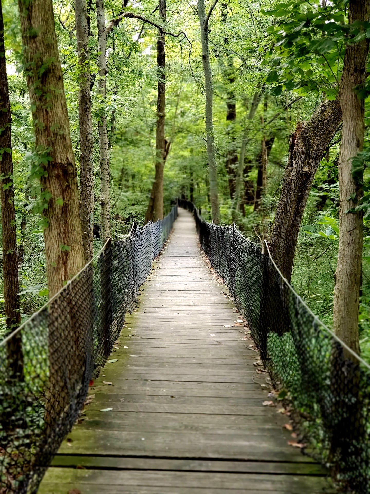 Panther Creek Park