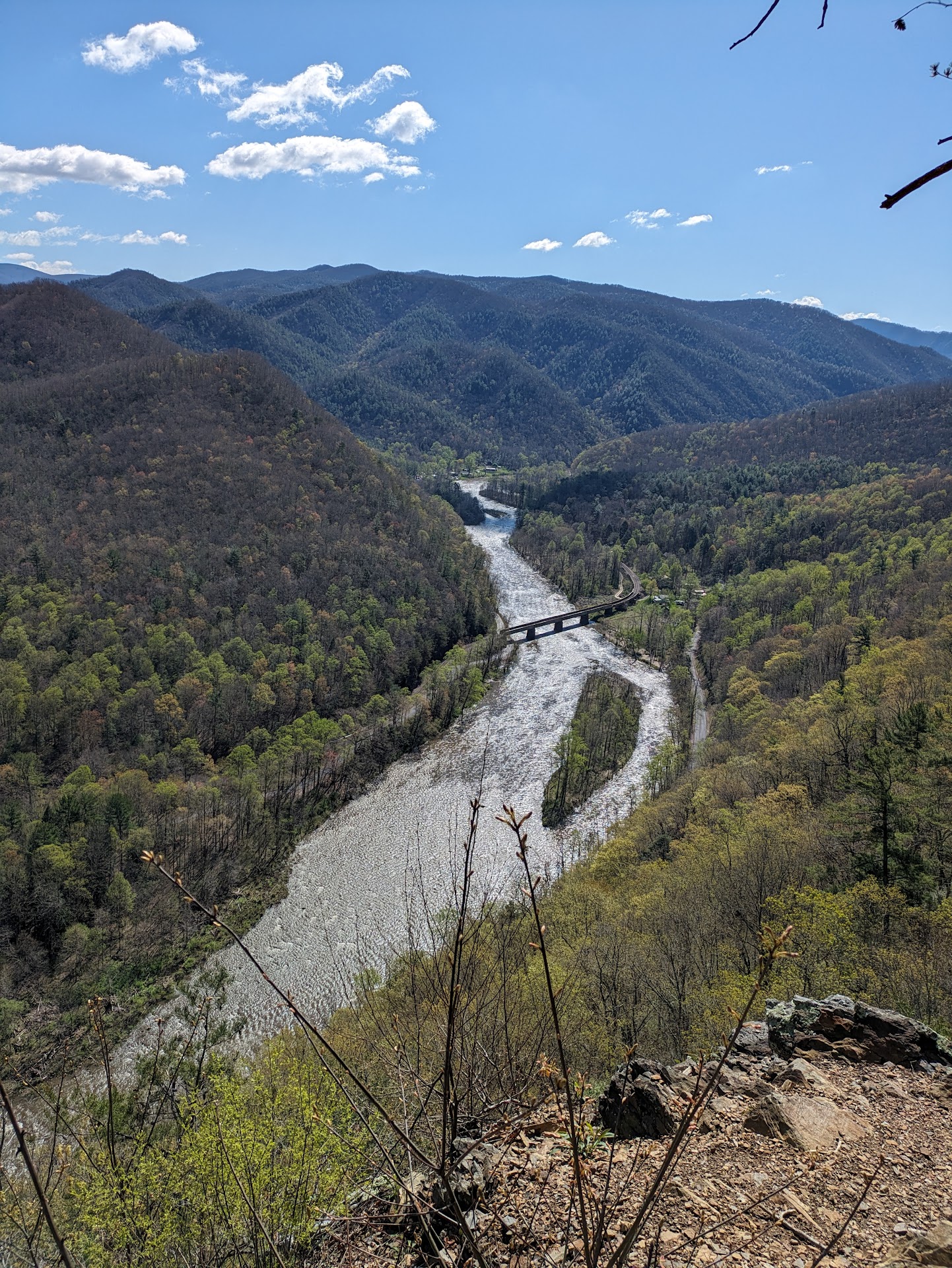 Cherokee National Forest