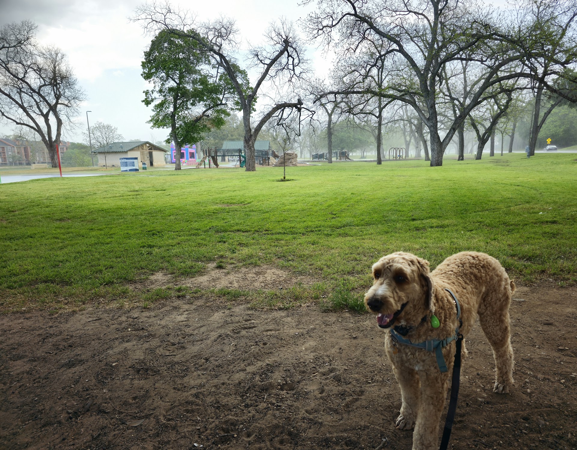 Cameron Park