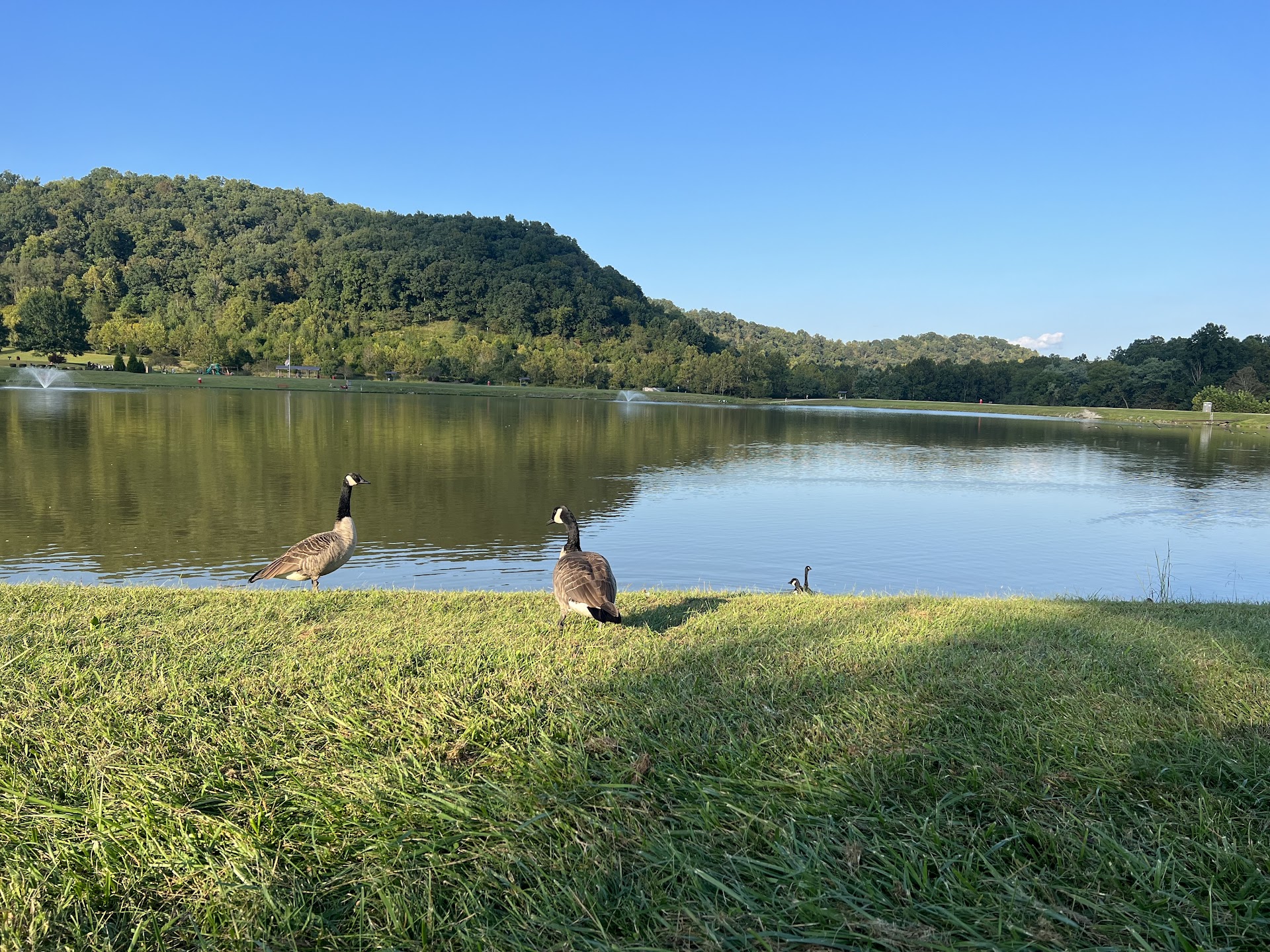 Barboursville Park
