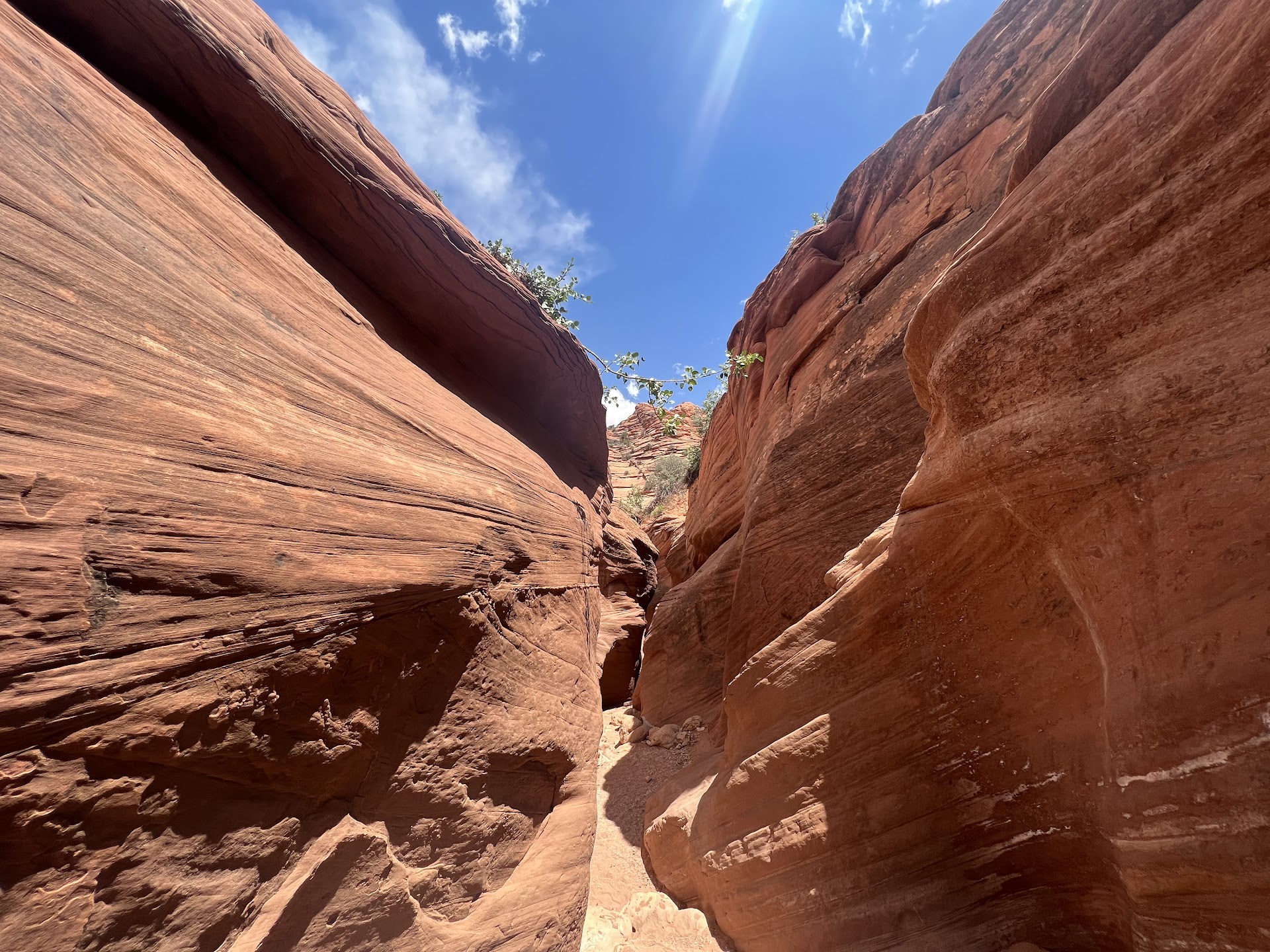 Wire Pass Trailhead