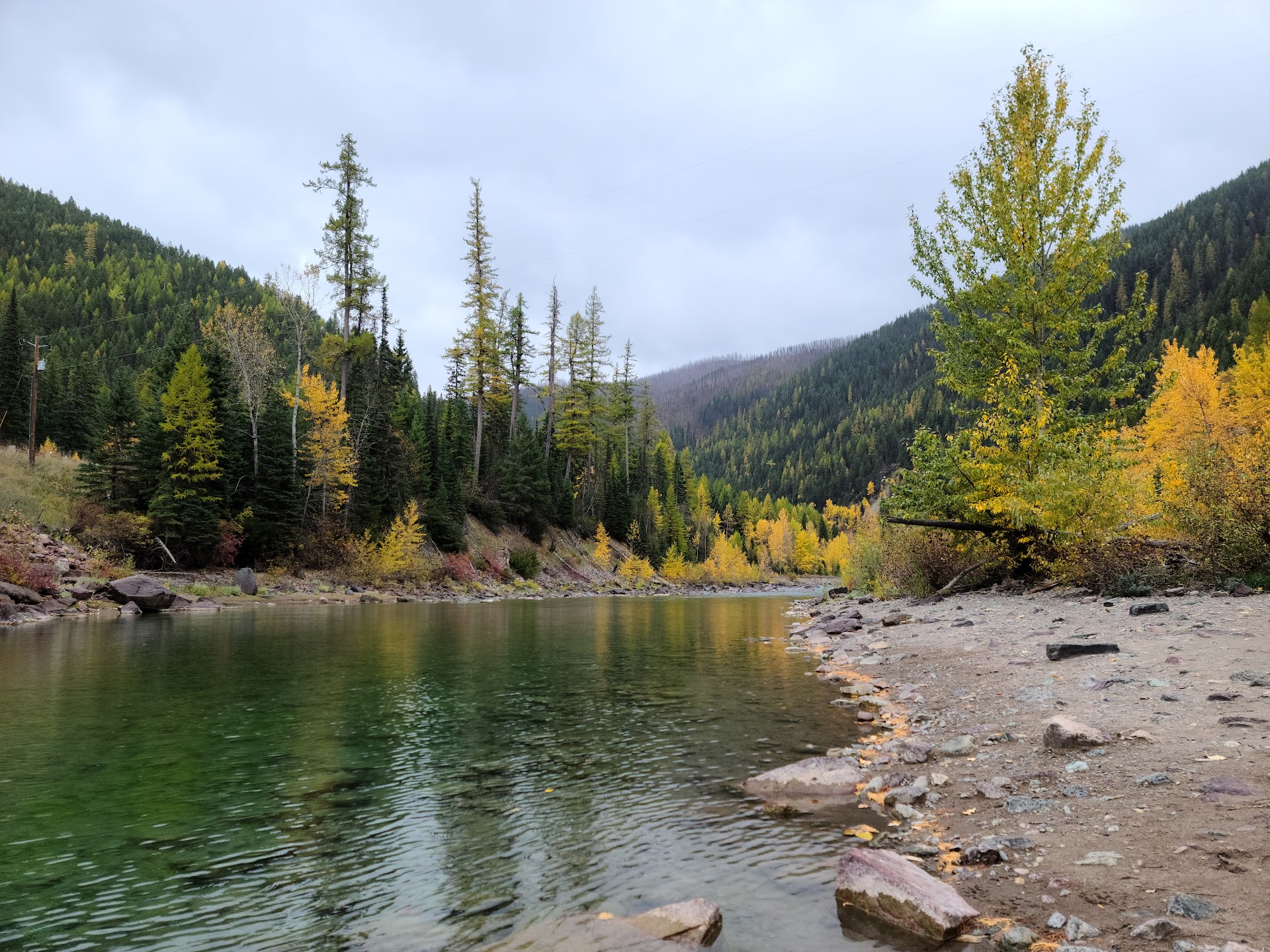 Flathead National Forest