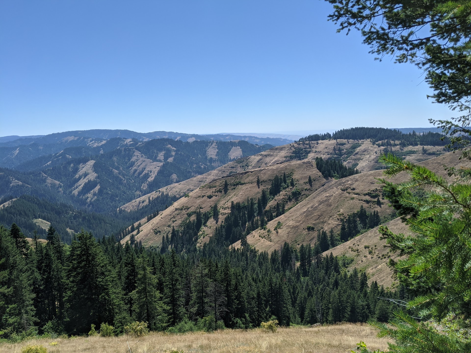 Umatilla National Forest