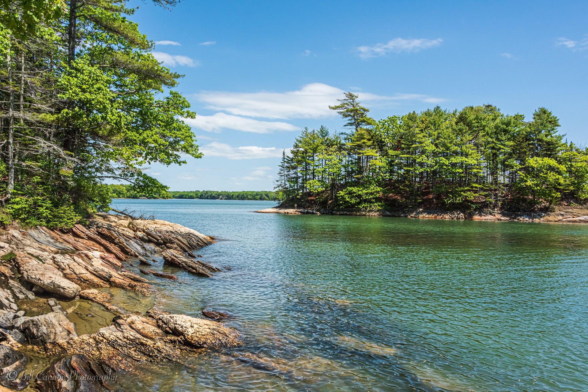 Wolfe's Neck Woods State Park
