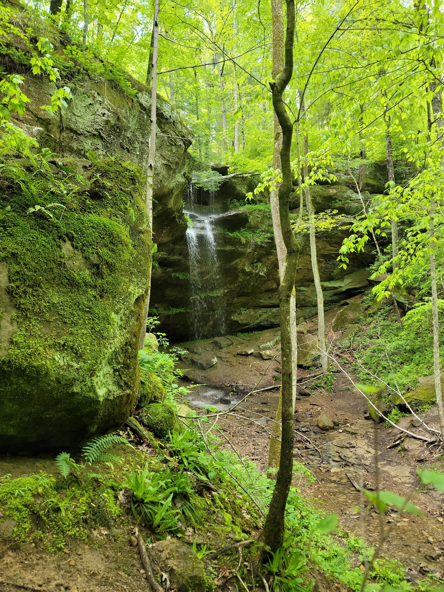 Hemlock Cliffs