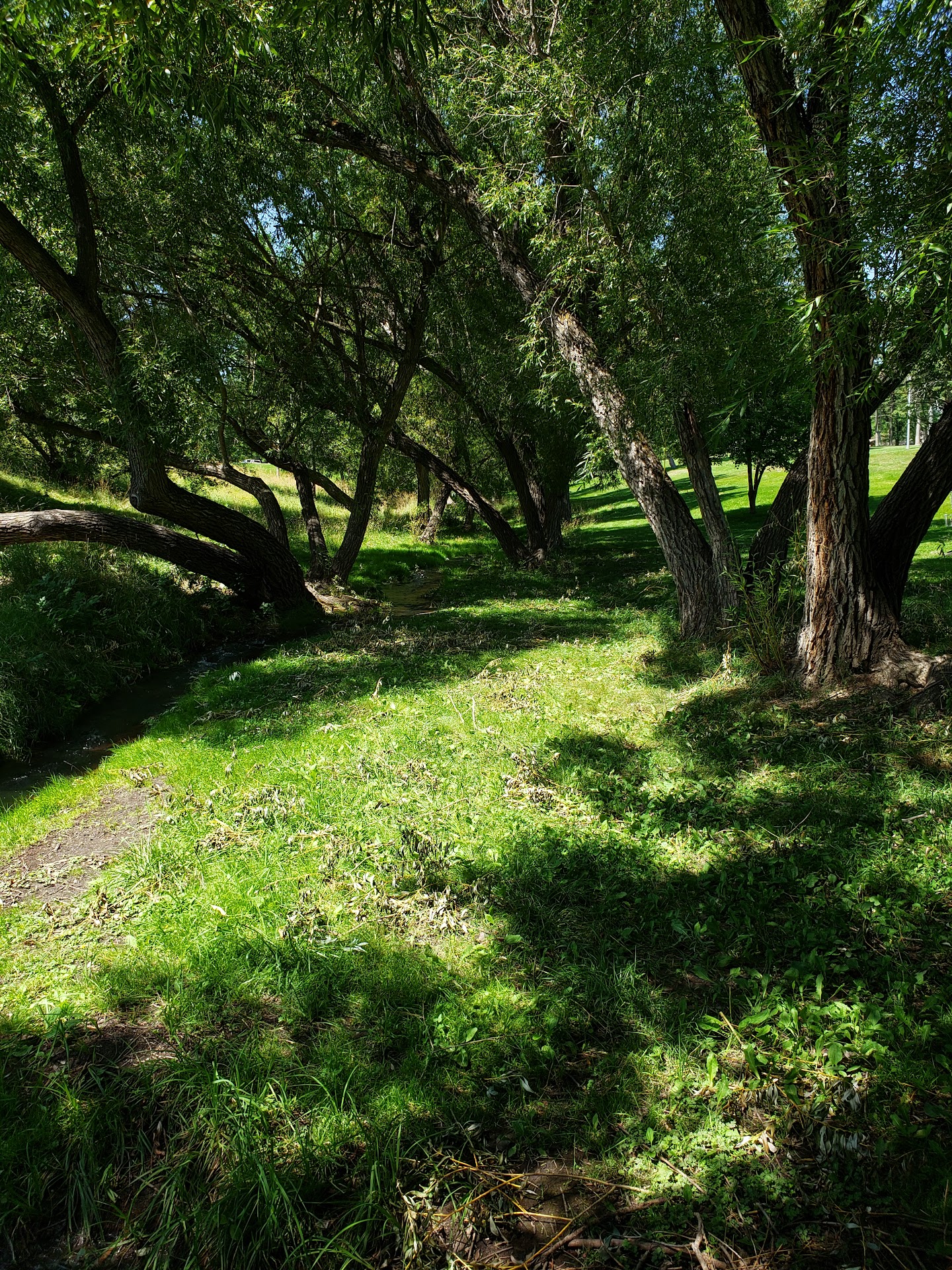 Pioneer Park