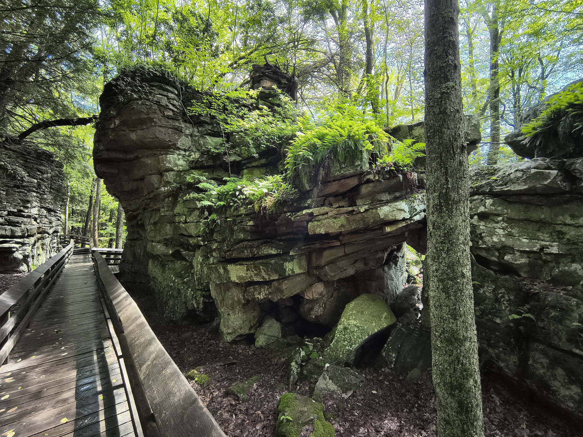 Beartown State Park