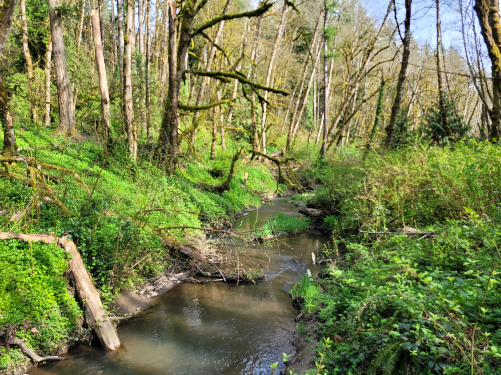 Tryon Creek State Natural Area