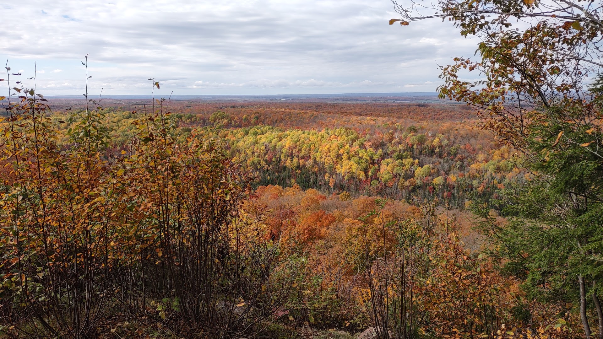 Chequamegon-Nicolet National Forest
