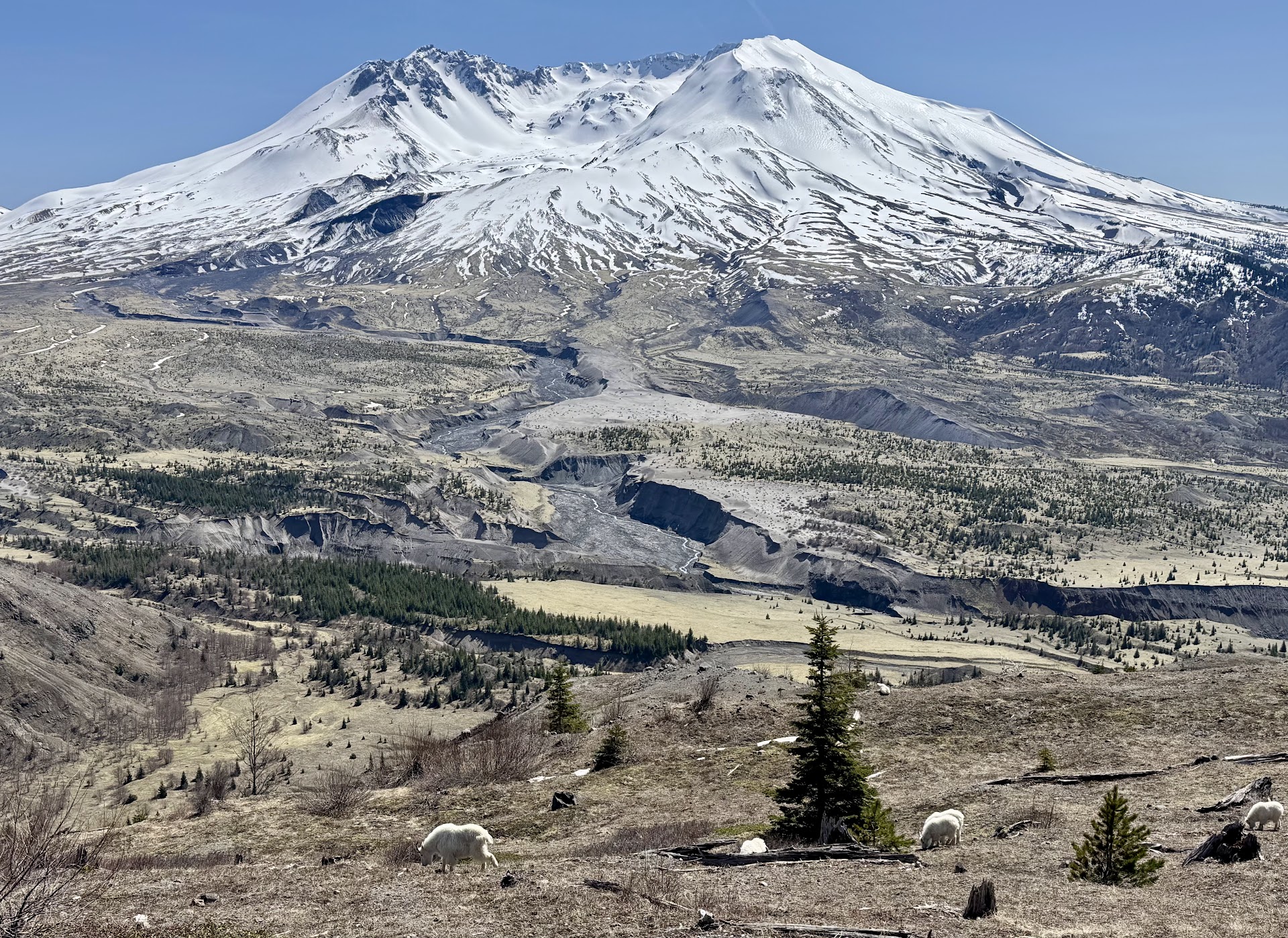 Mount St. Helens National Volcanic Monument