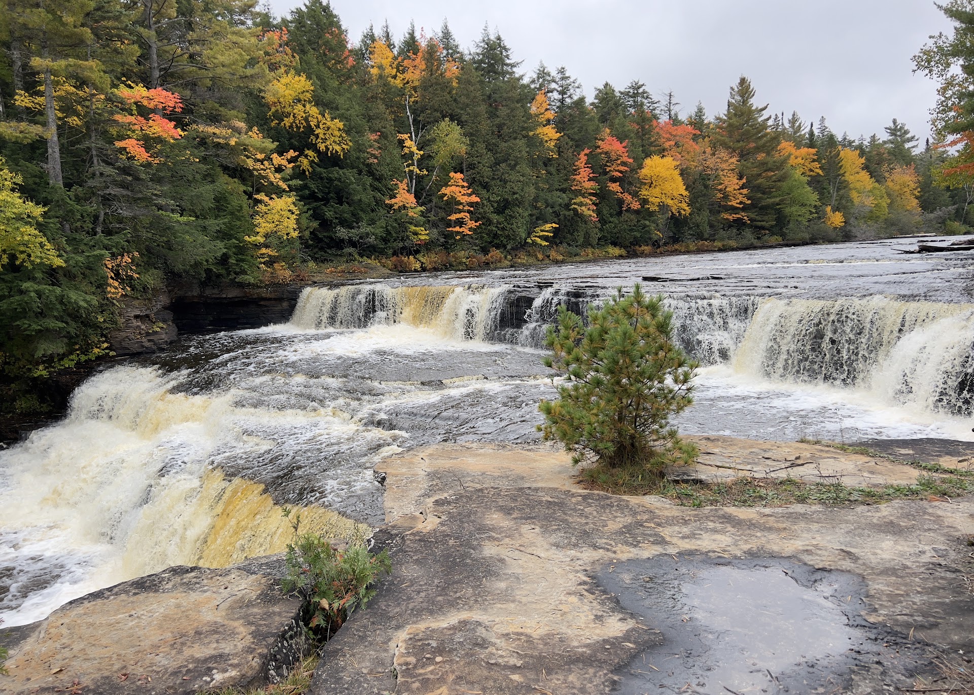 Tahquamenon Falls Lower Falls