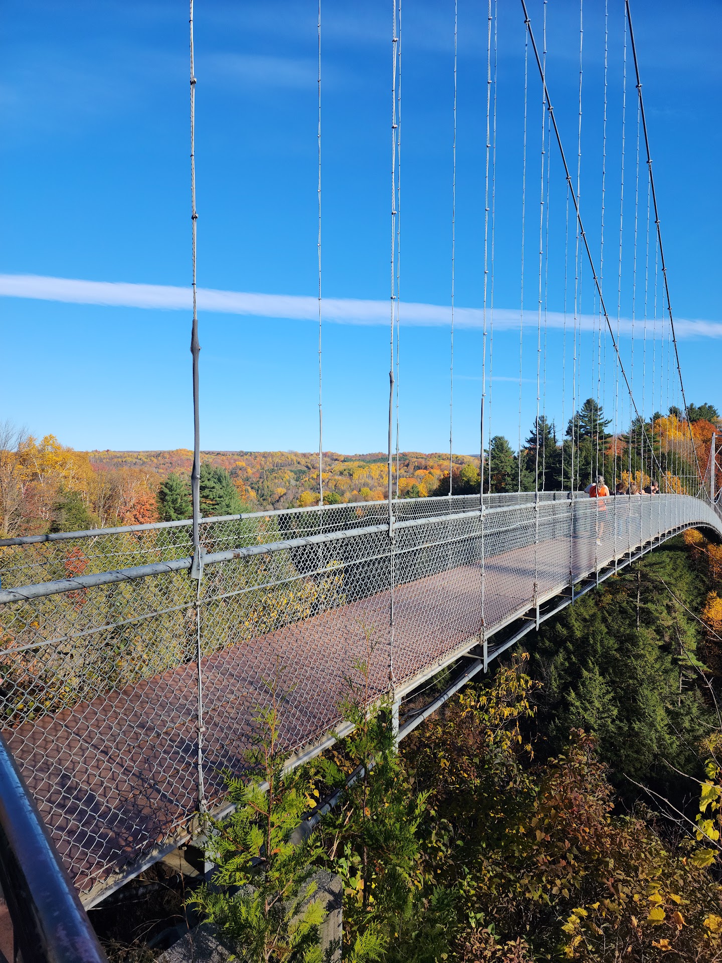 Gorge Park