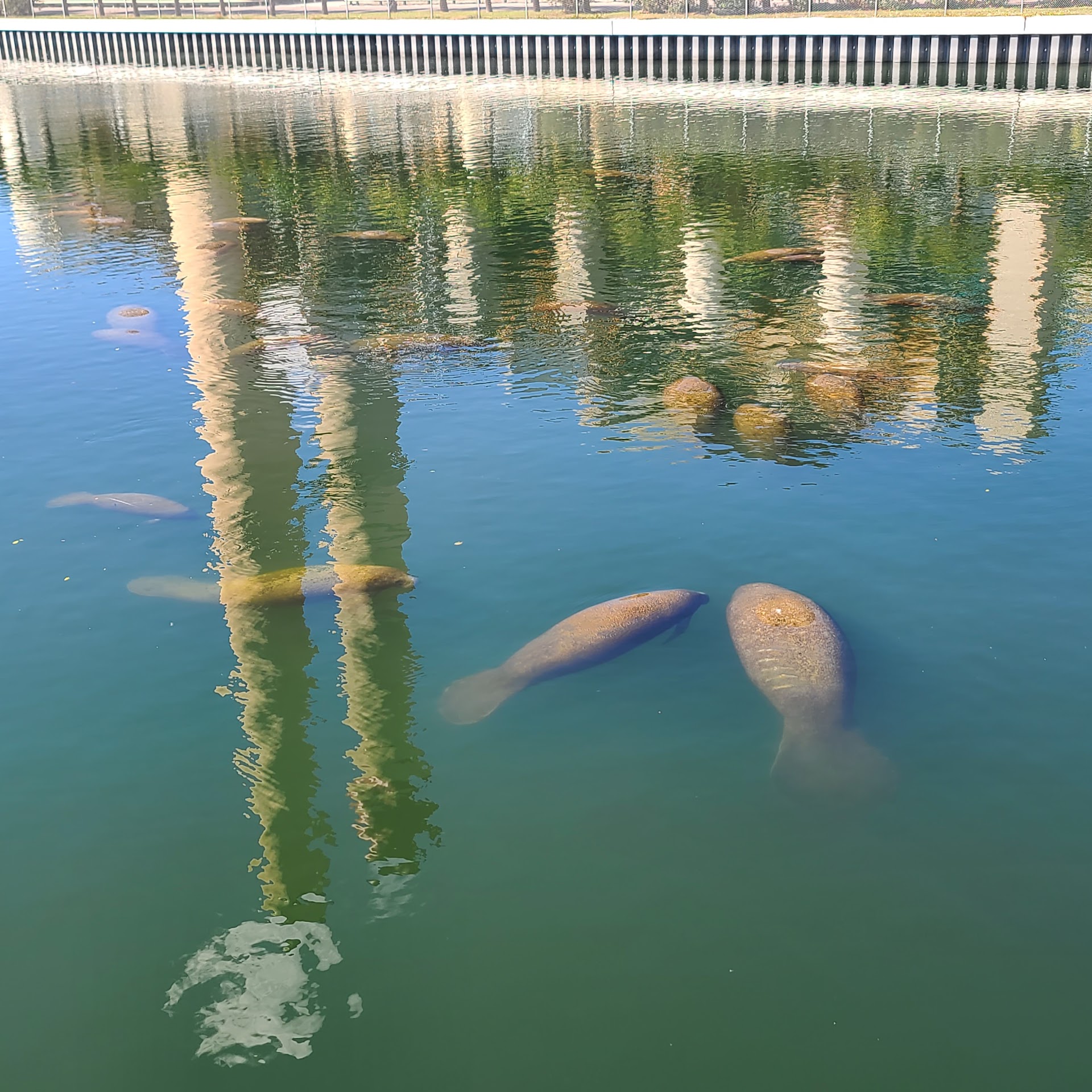 Manatee Viewing Center