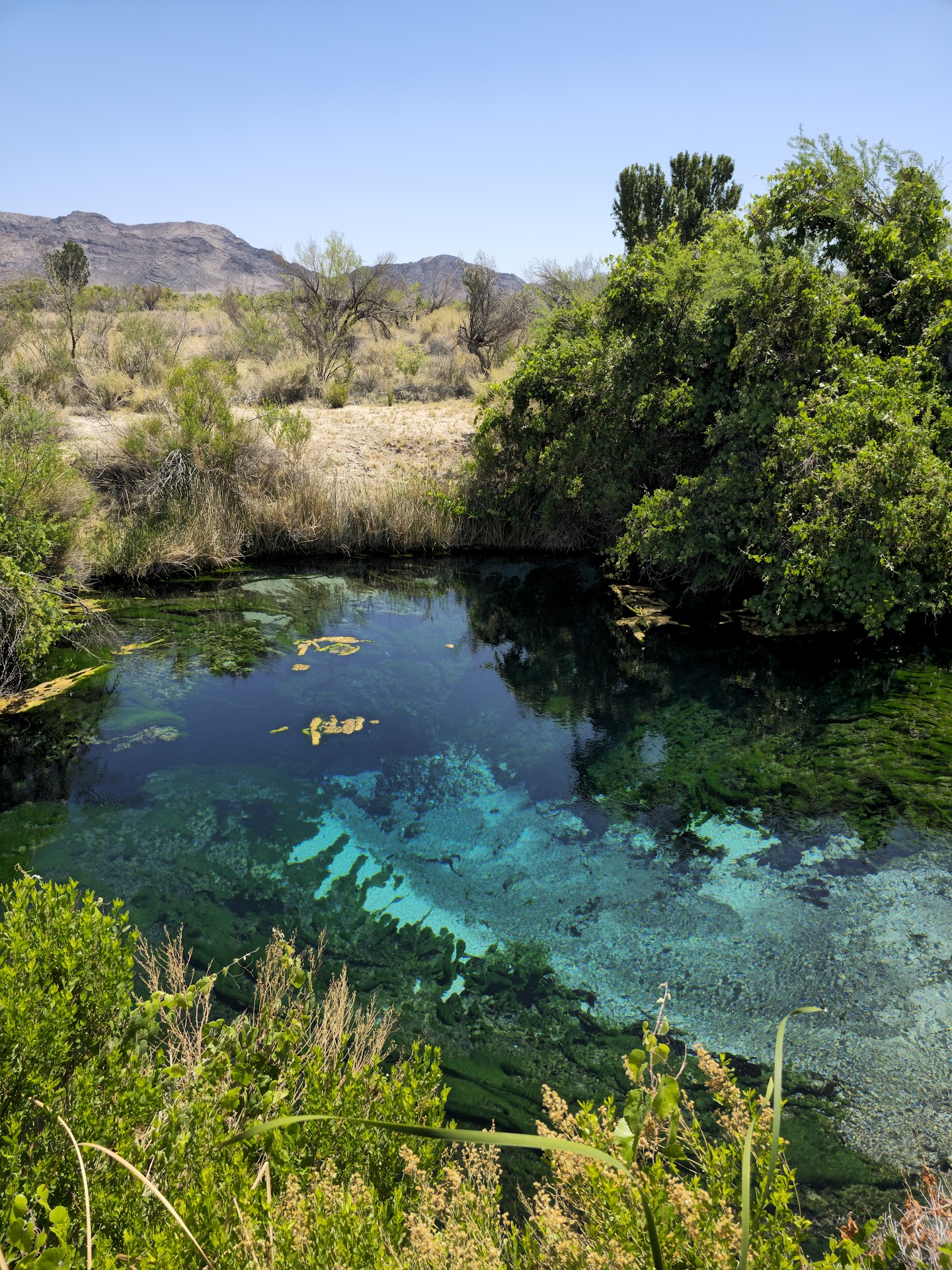 Ash Meadows National Wildlife Refuge