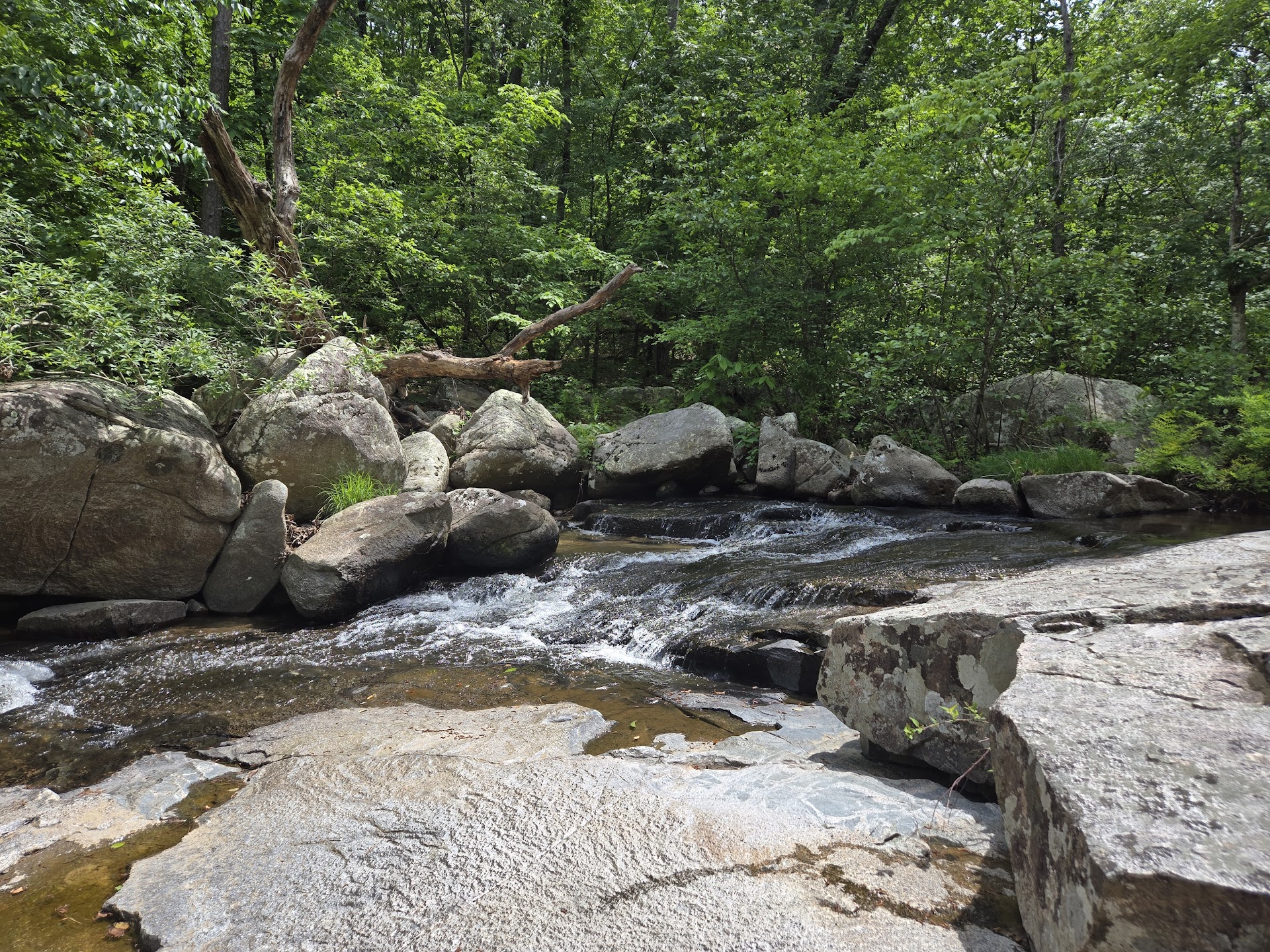 Hawn State Park